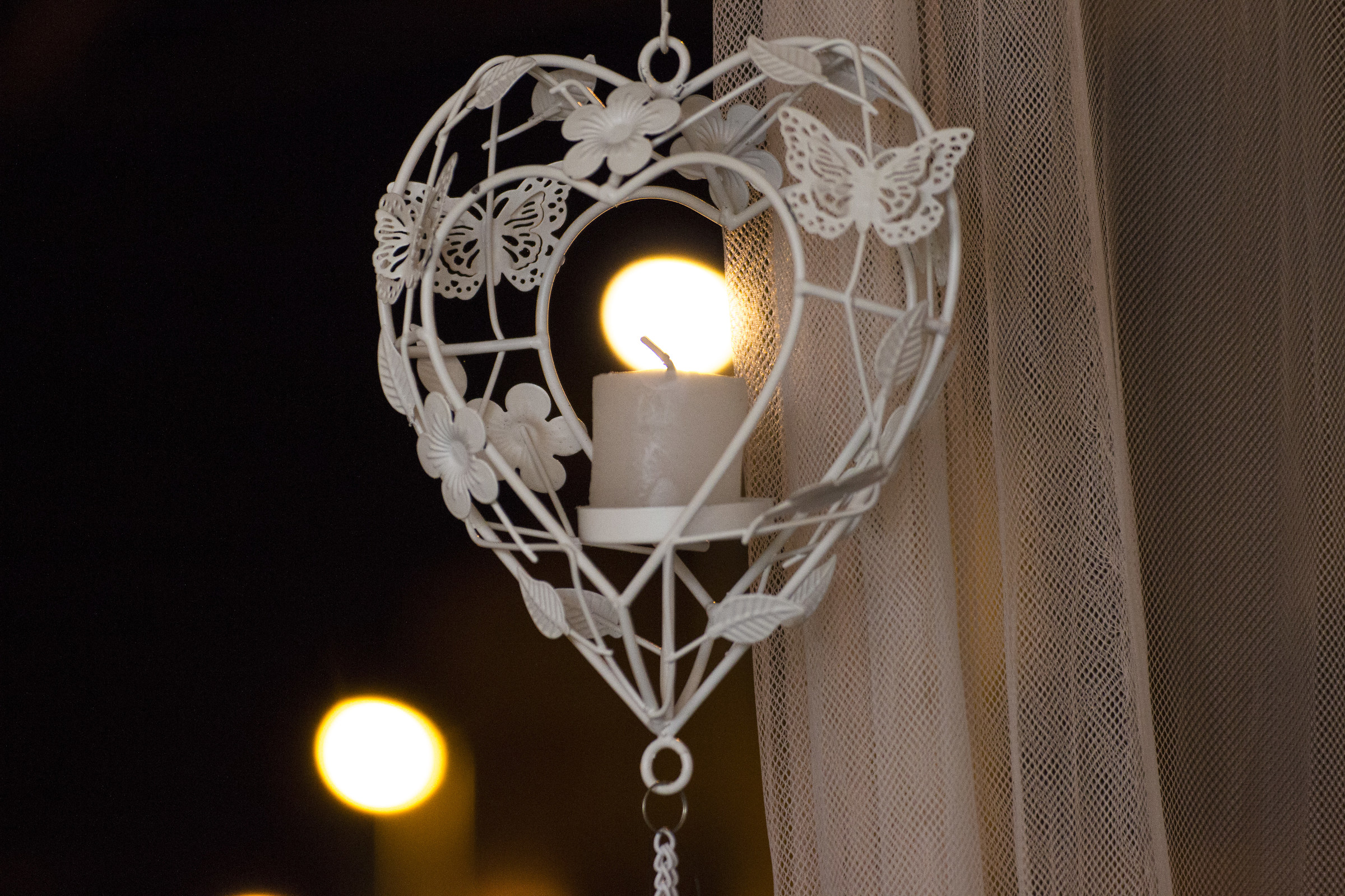 ... love comes on ... for photography!