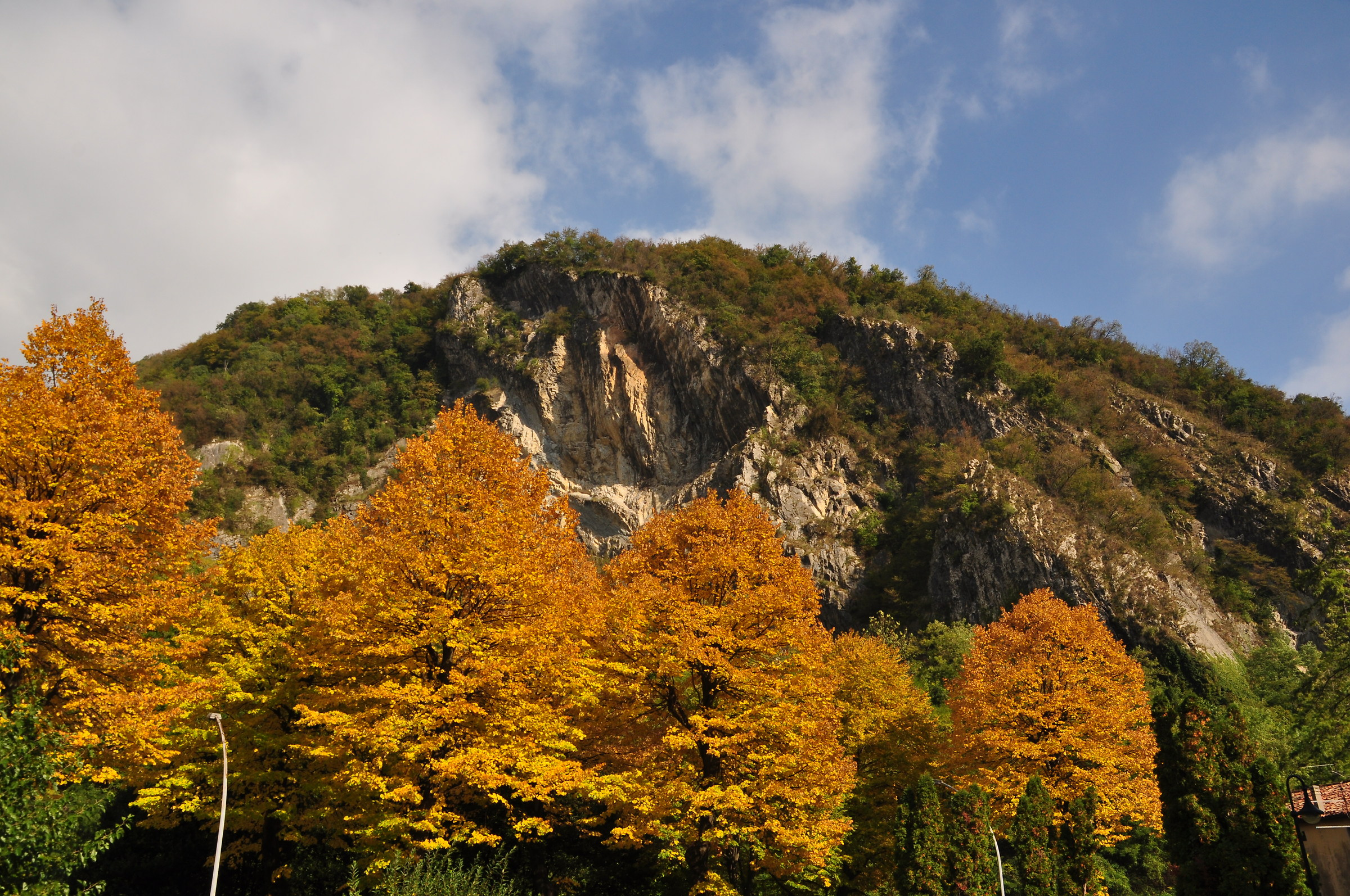 Near Vittorio Veneto in the fall