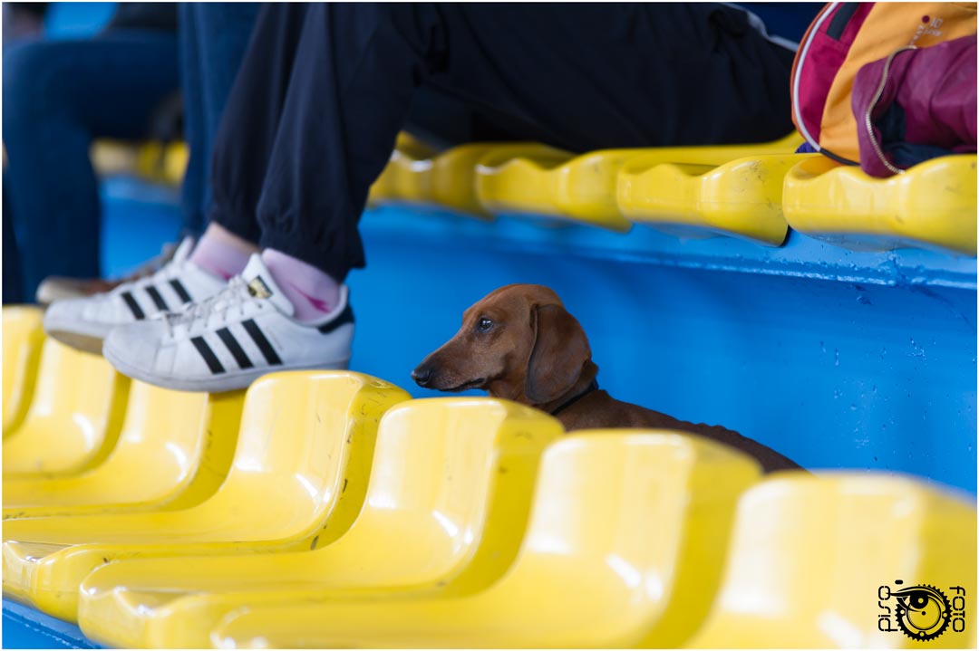 Tutti sull'attenti !