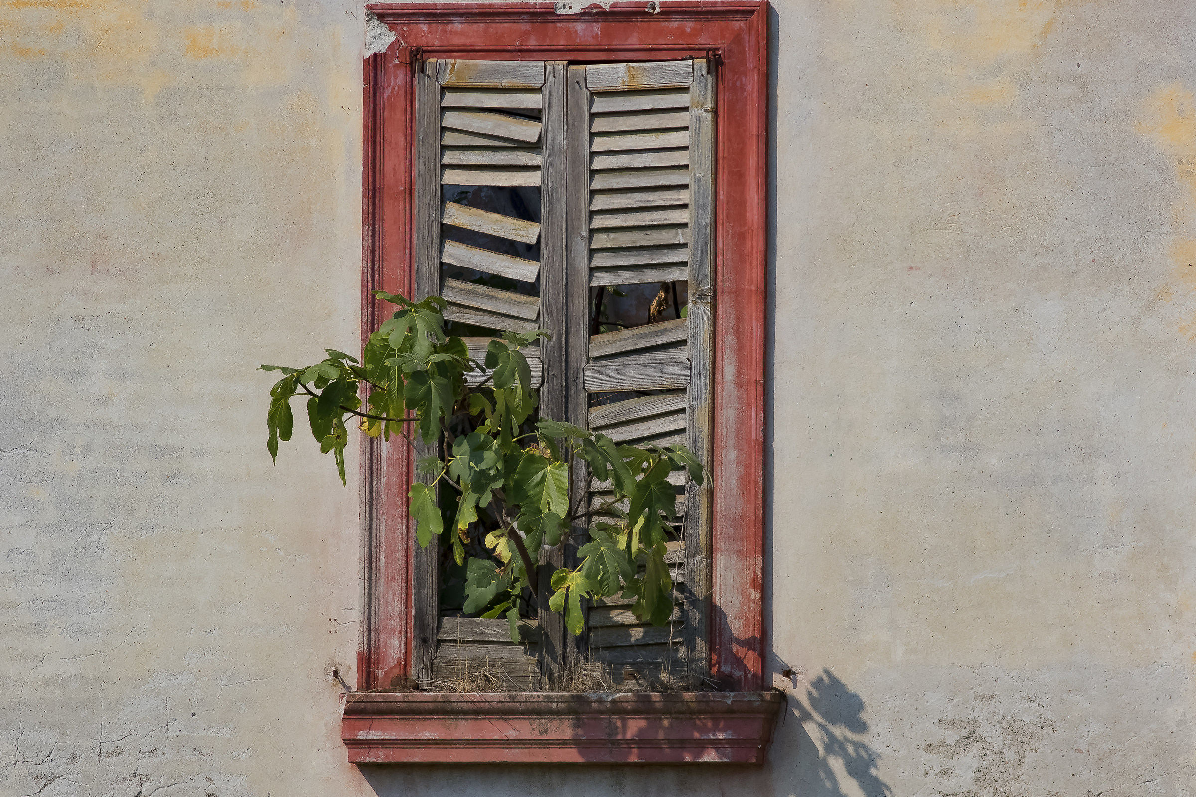 The strength of nature