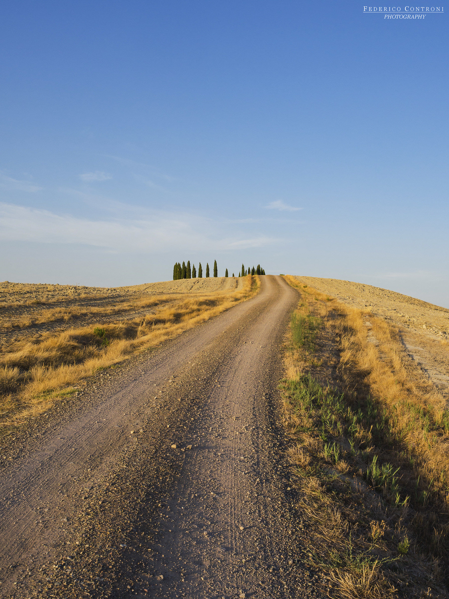 La strada per la libertà