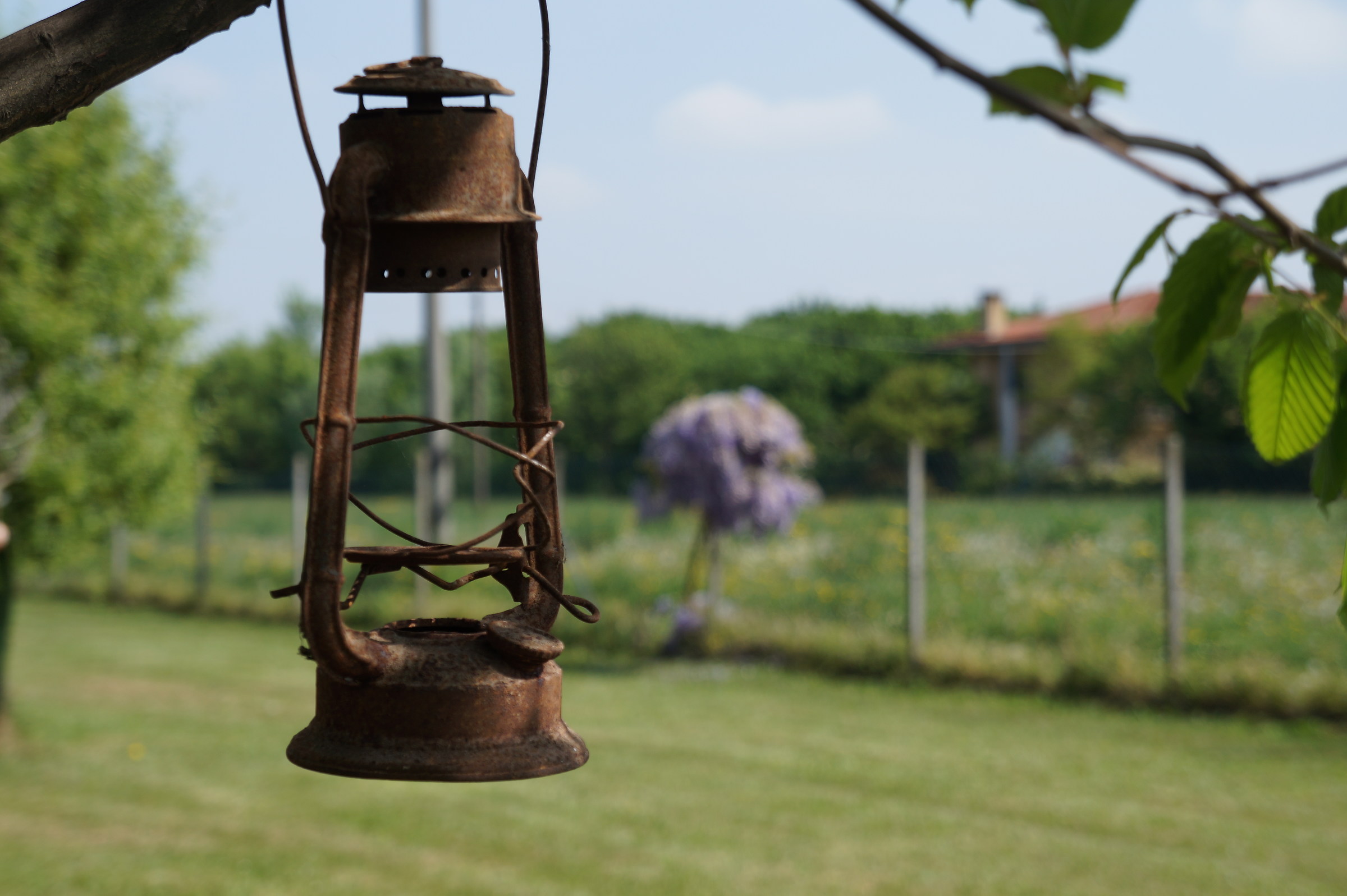 The Lantern