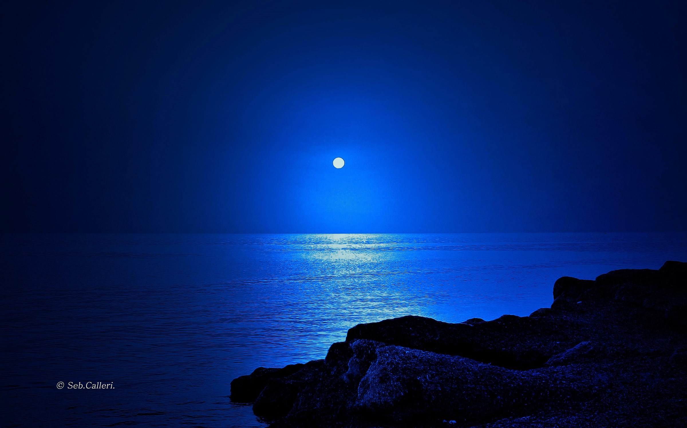 Night in the moonlight