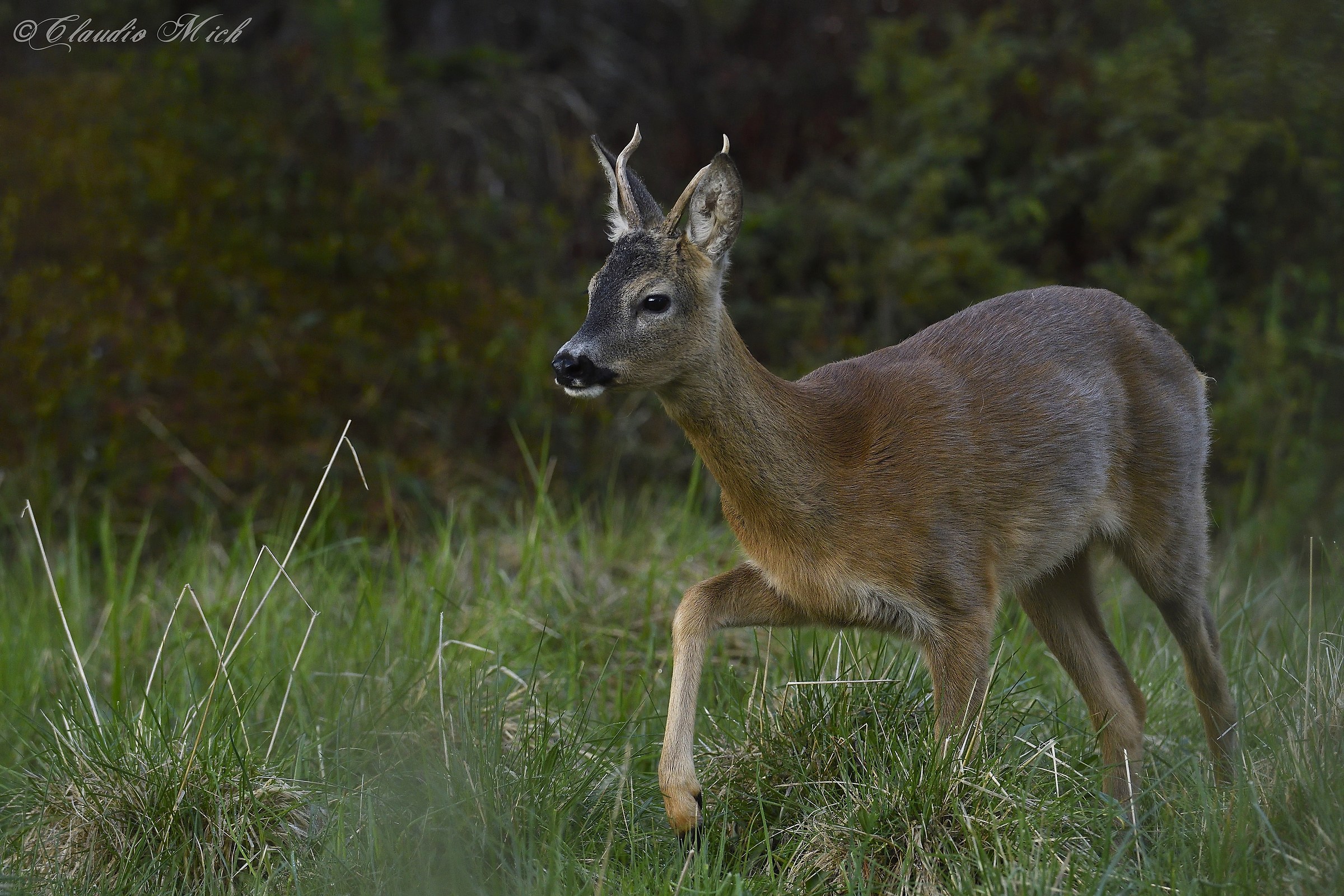 Piano piano mi avvicino