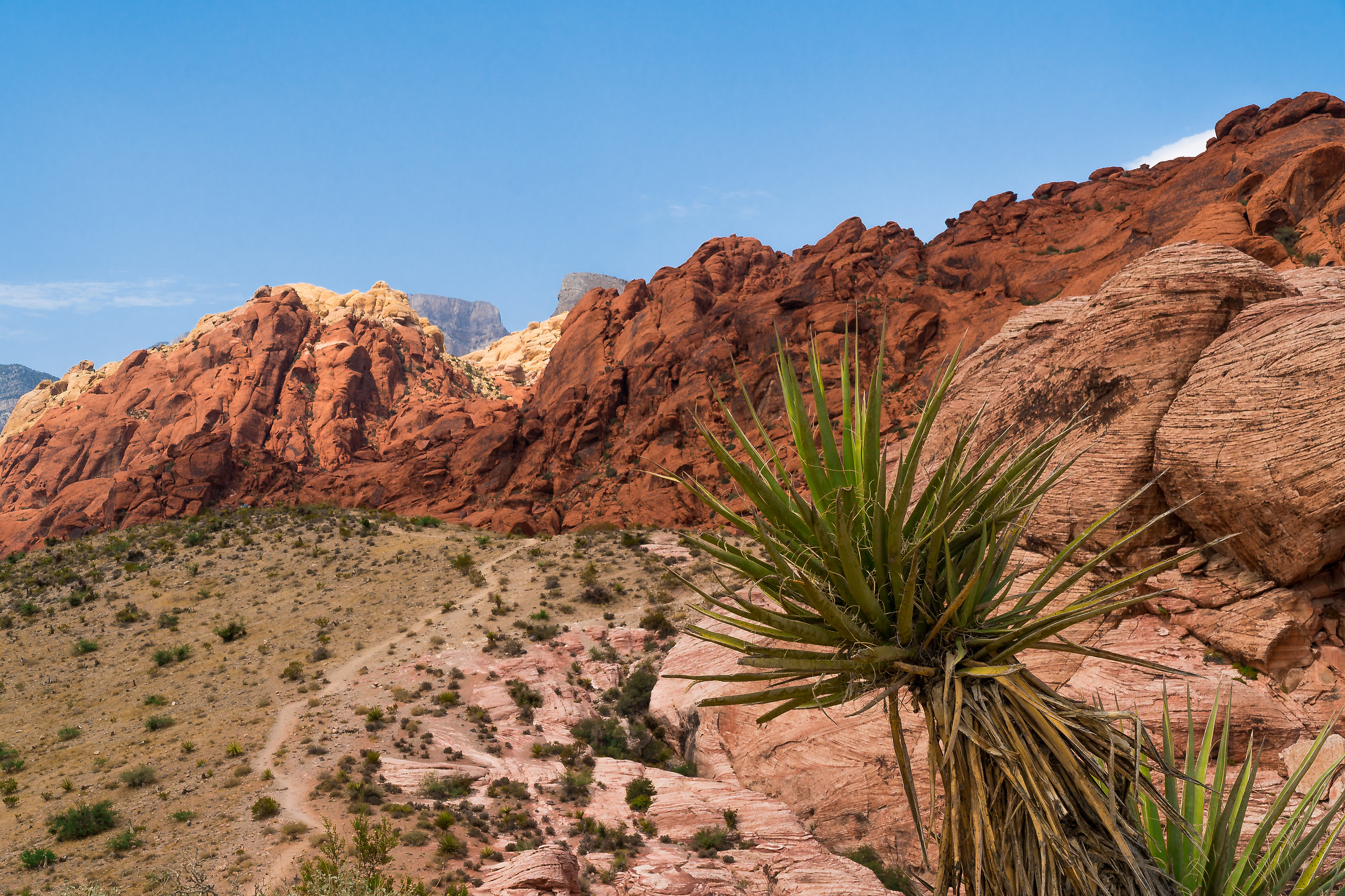 Red Rock Canyon Las Vegas