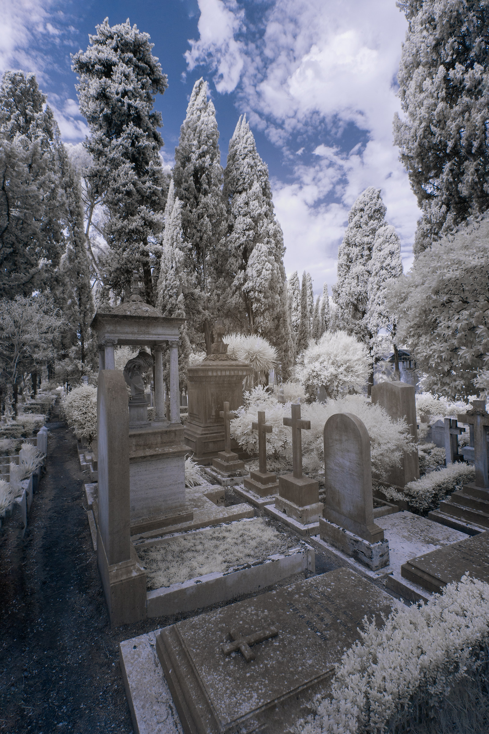 In the shadow of cypresses and inside the urn