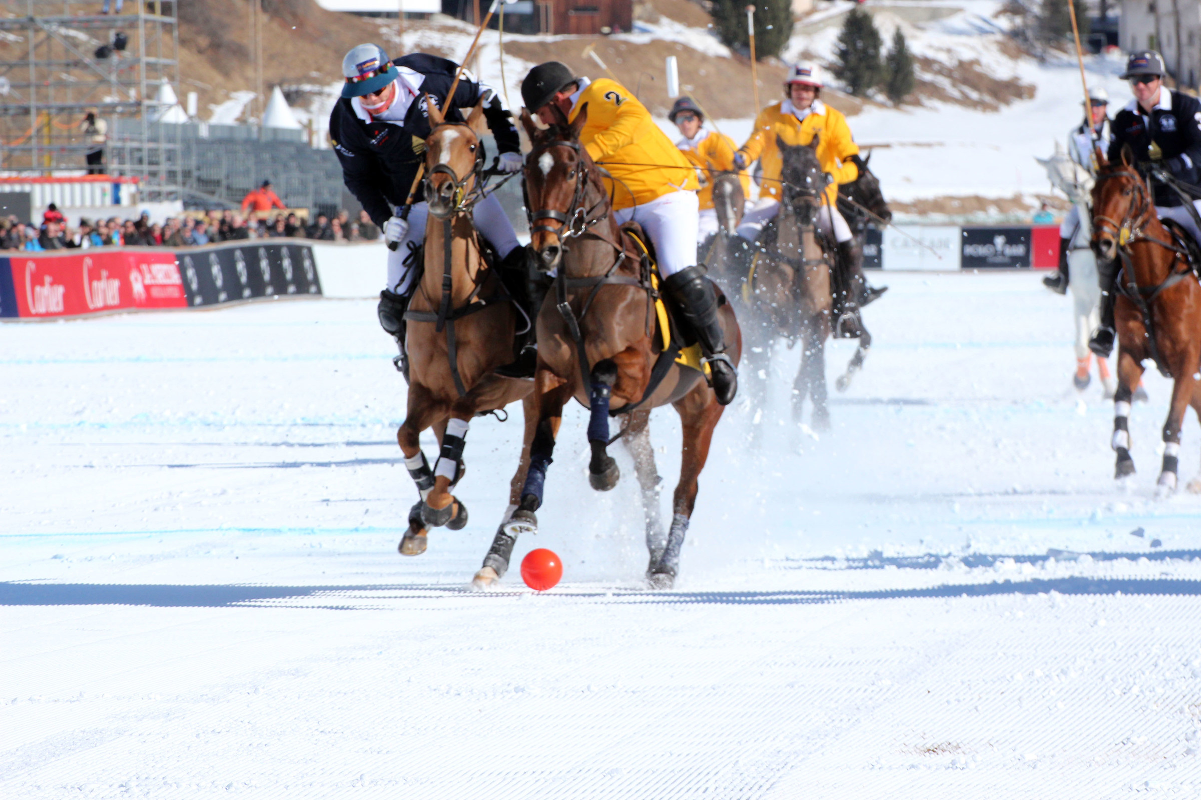 Polo St Moritz 3