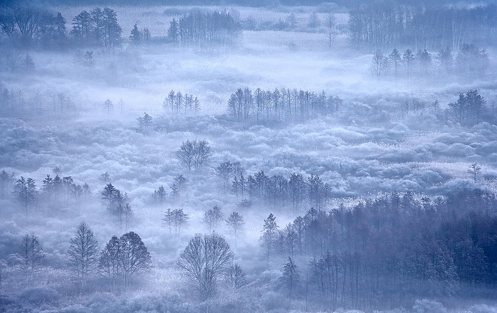 The intimate call of Nature