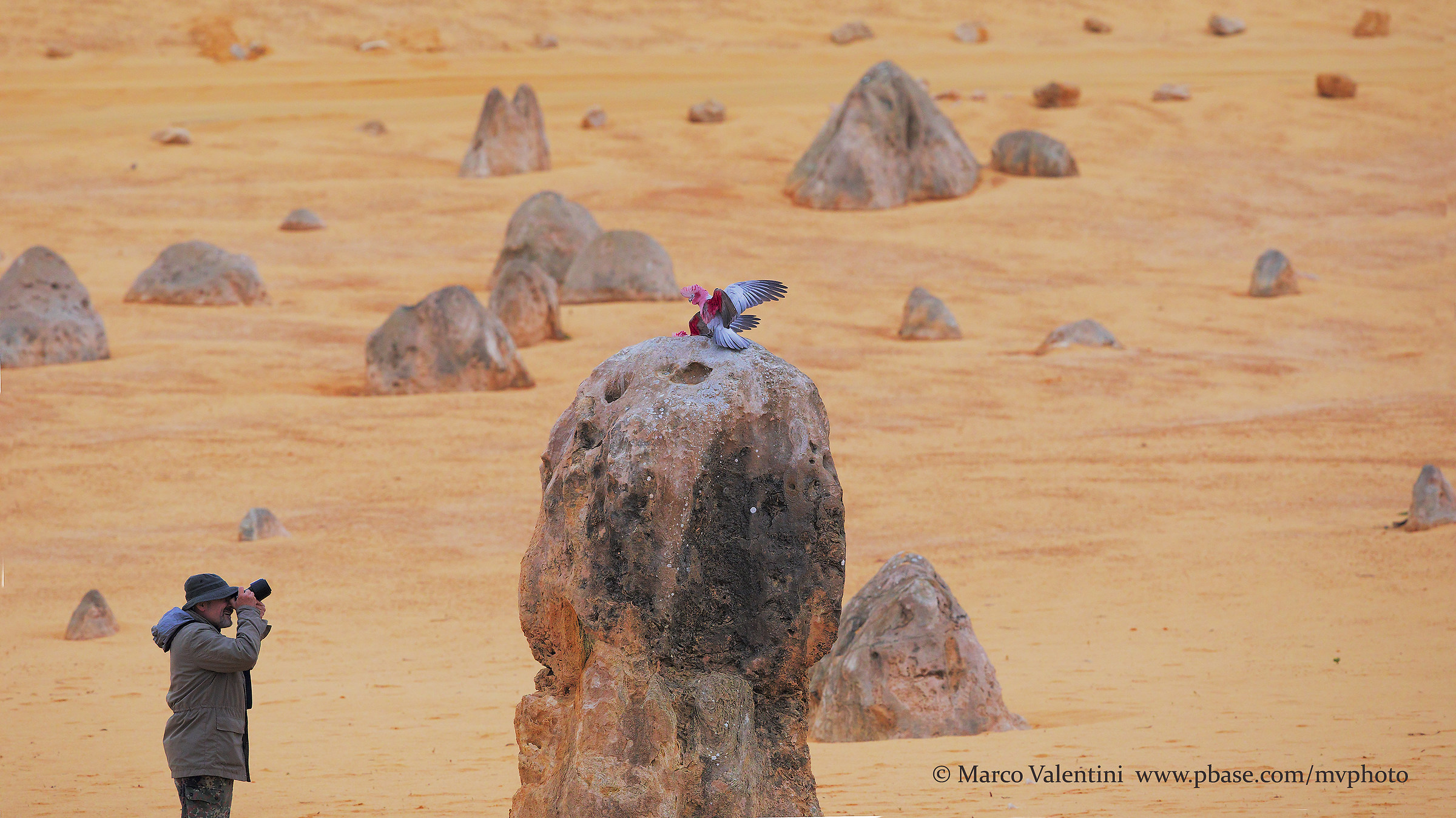 Photographing in the desert