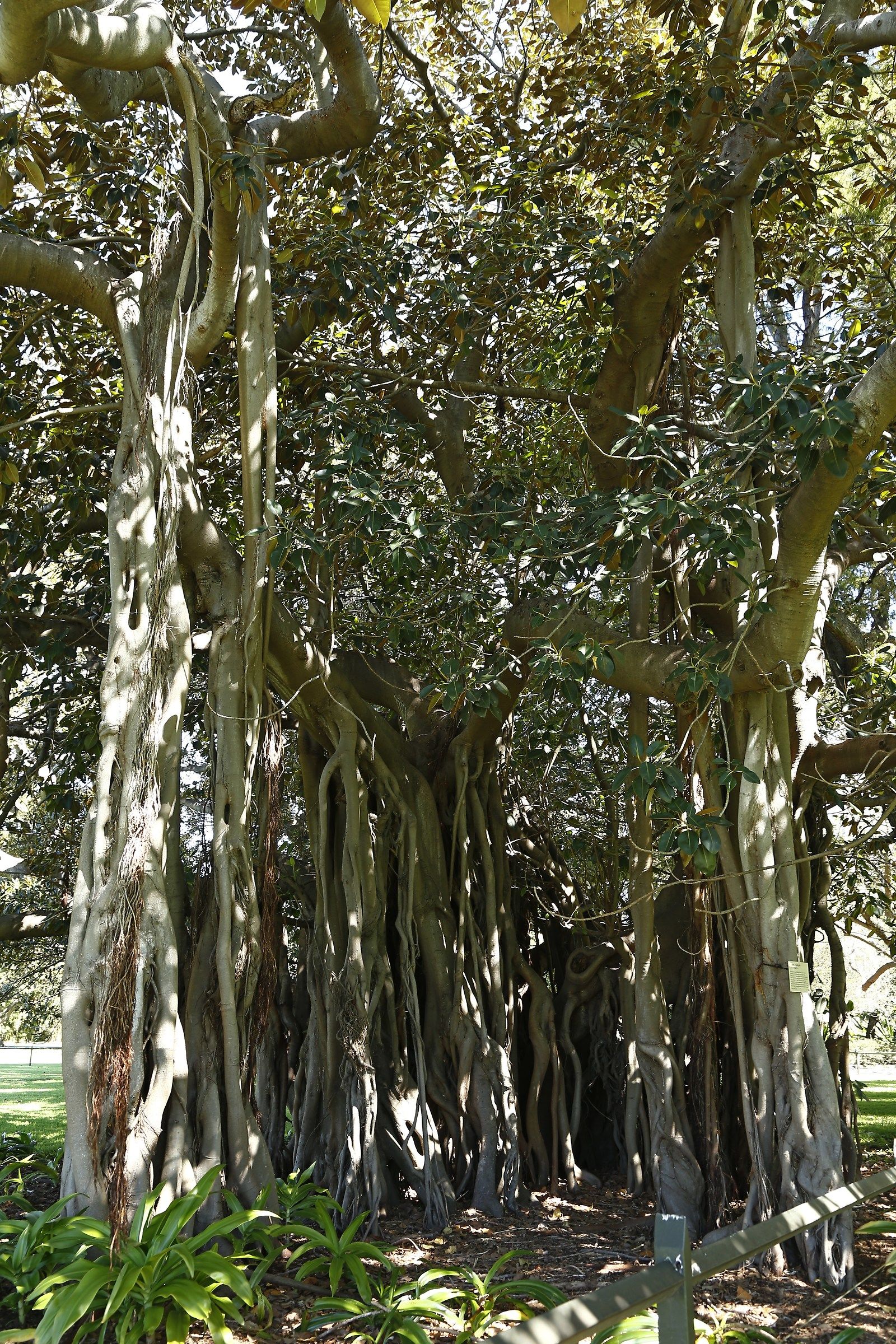 When nature creates wonders - part 2