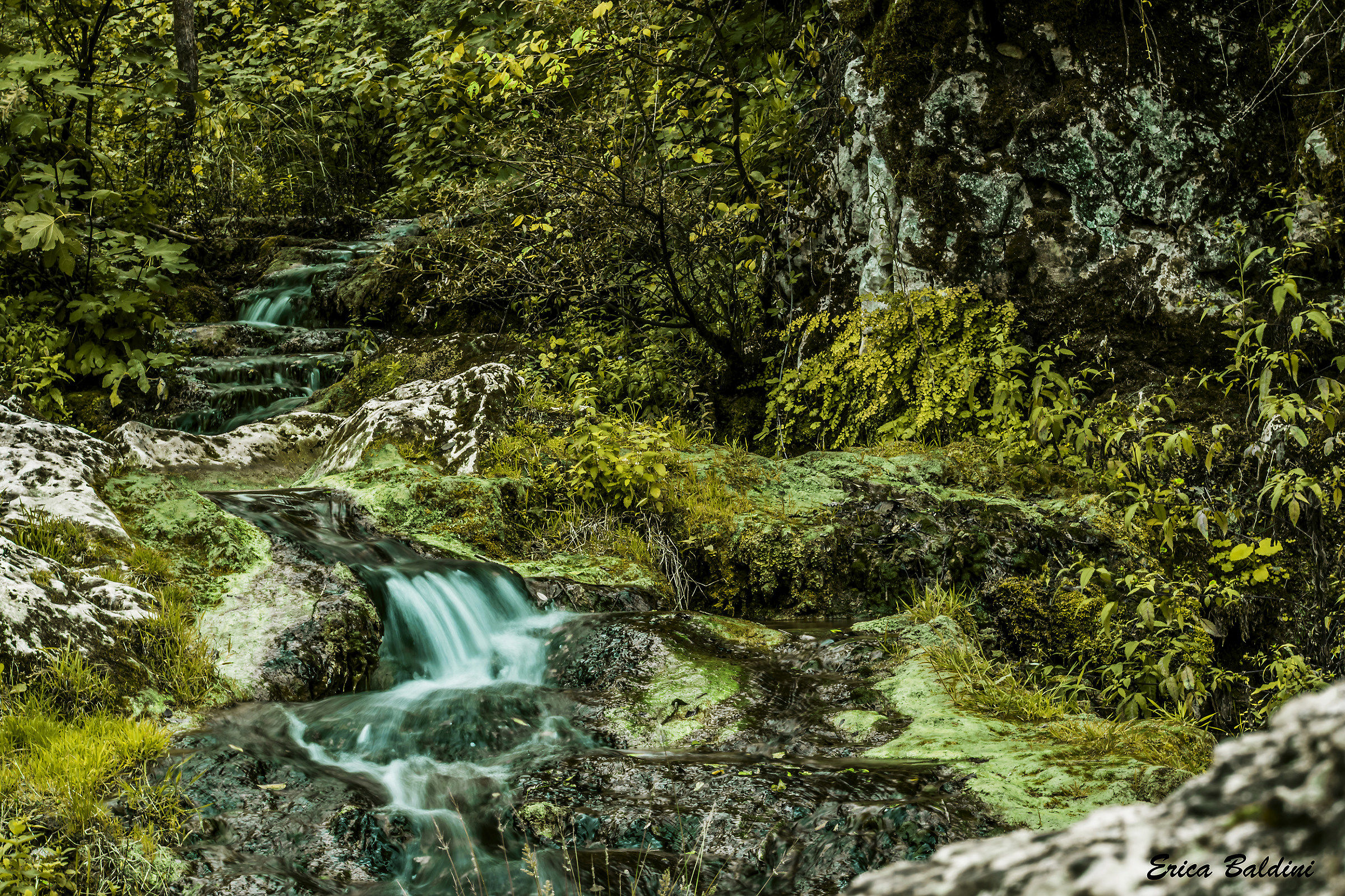 Rio Obaco  (Falvaterra) 2