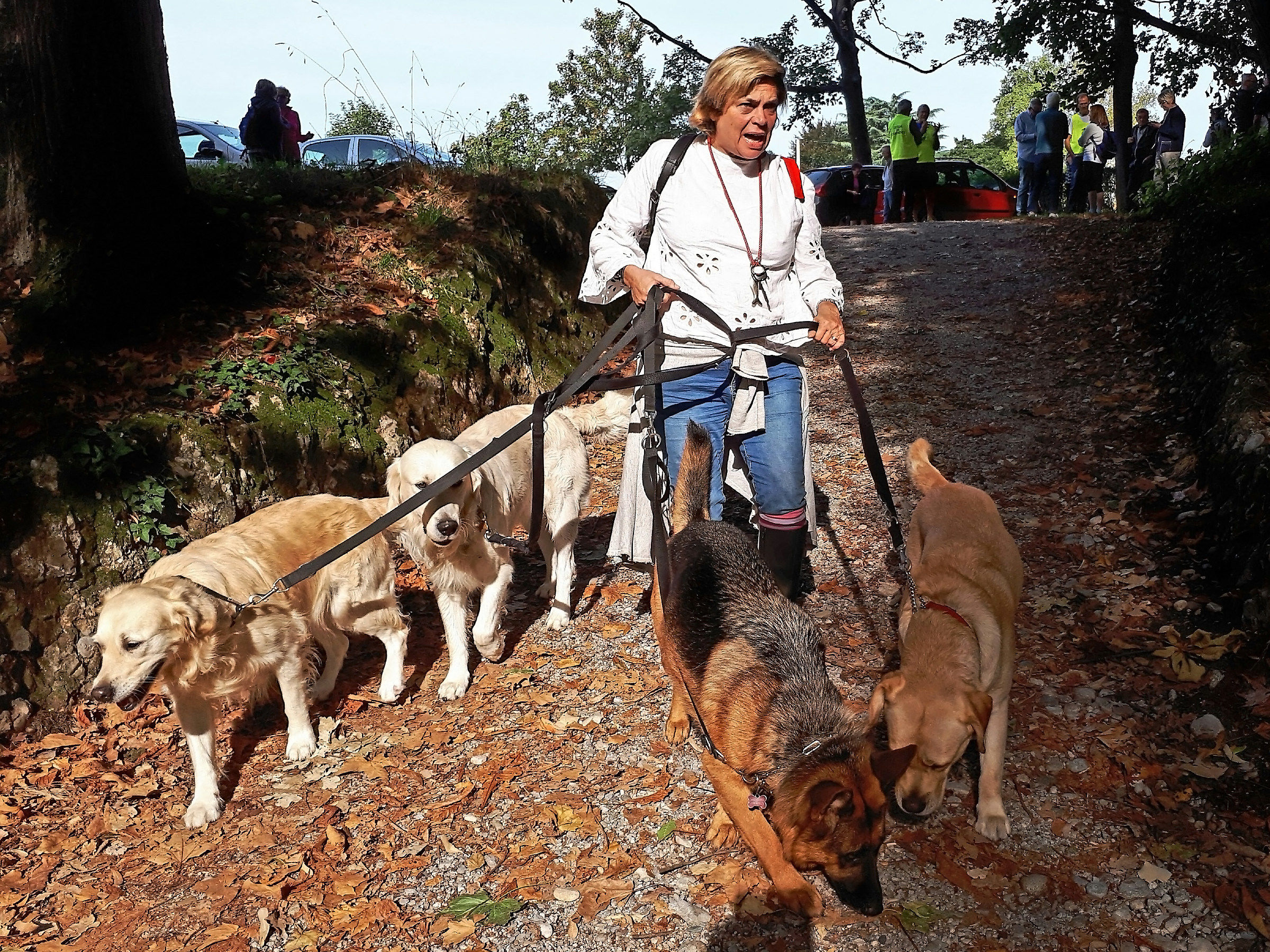 Dog-sitter  al parco di Monza