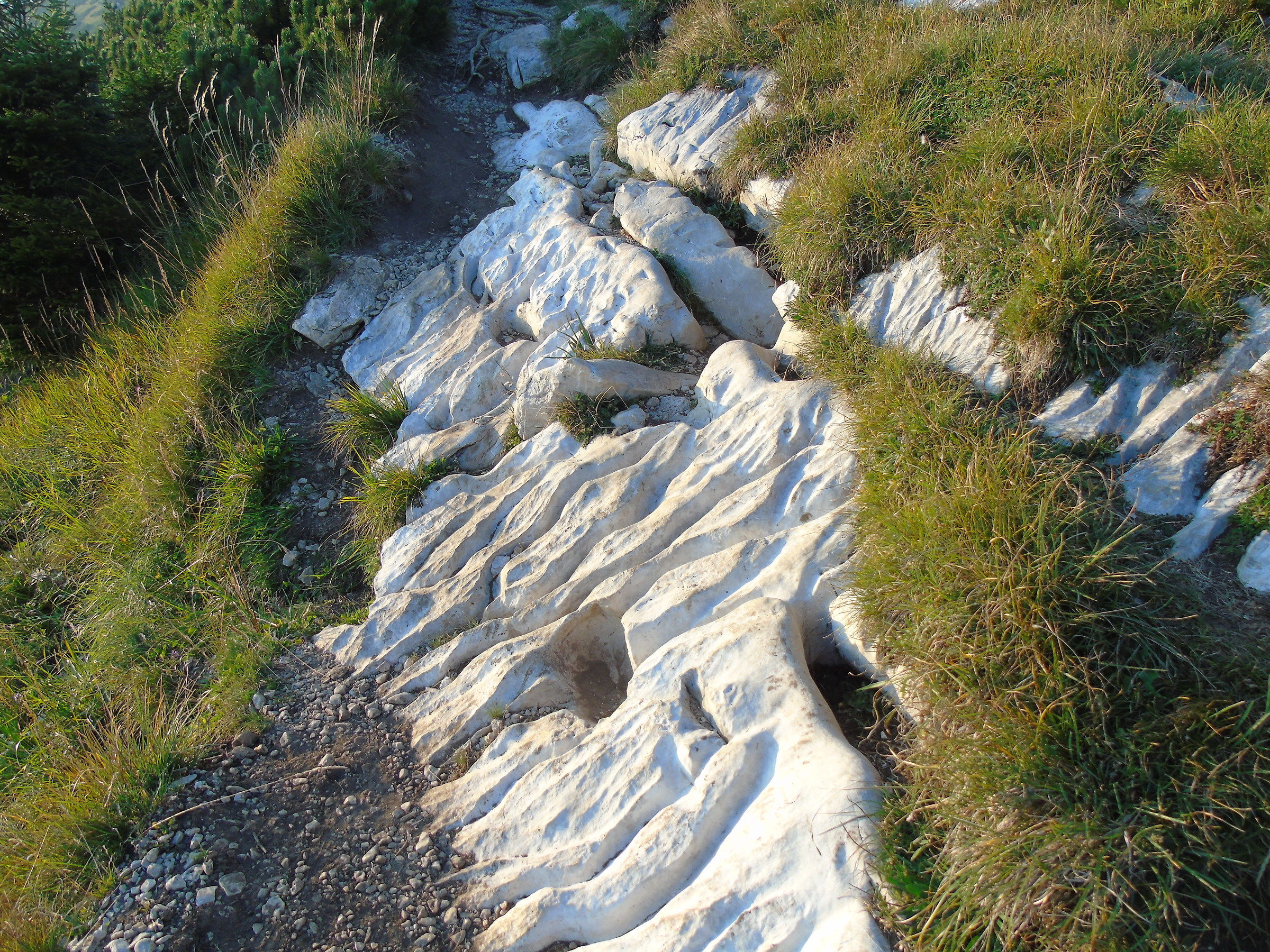 Water on limestone