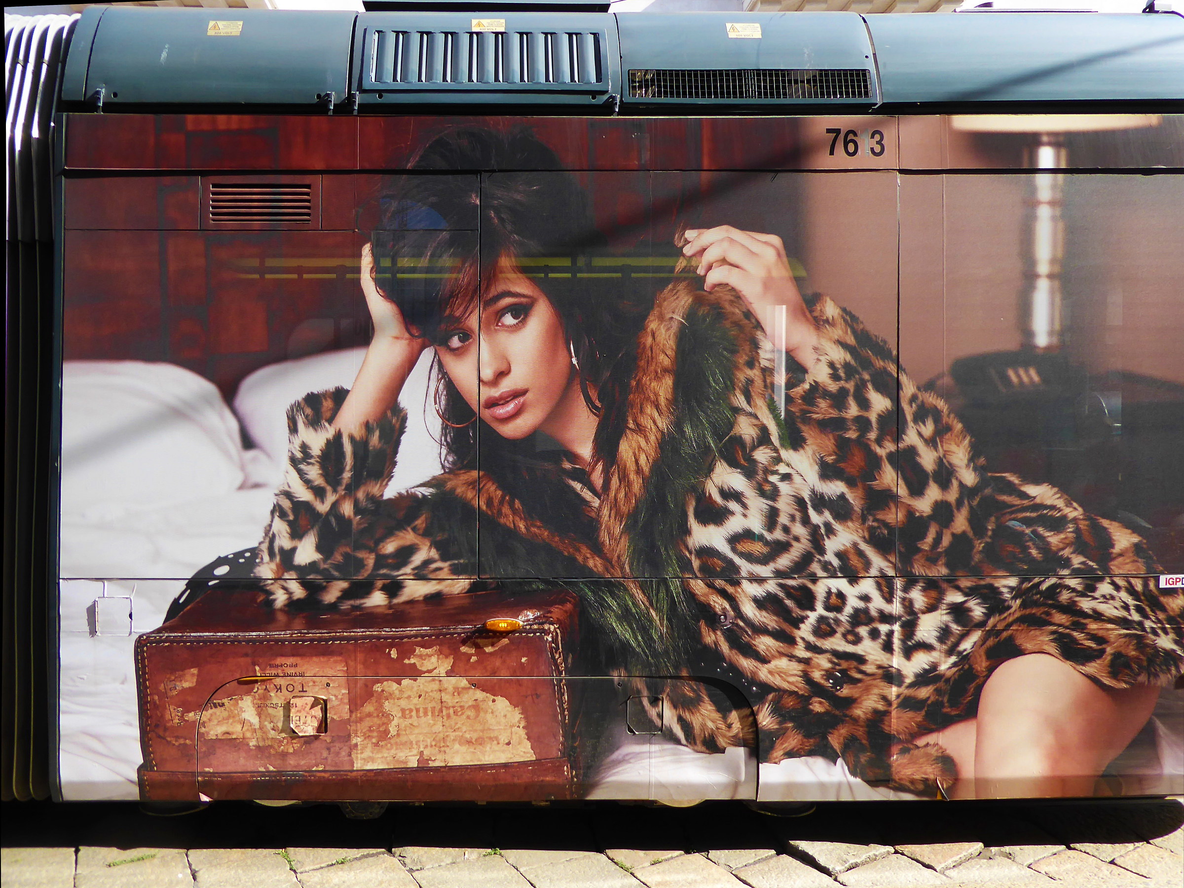 a tram called desire