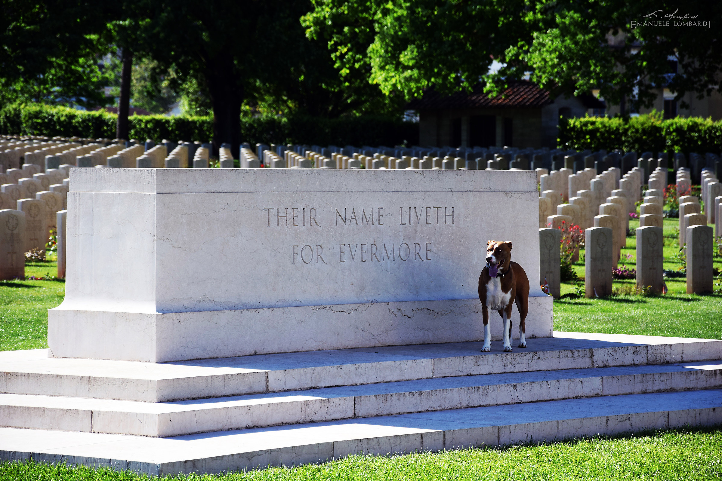 Il guardiano del cimitero (cimitero inglese di Cassino)