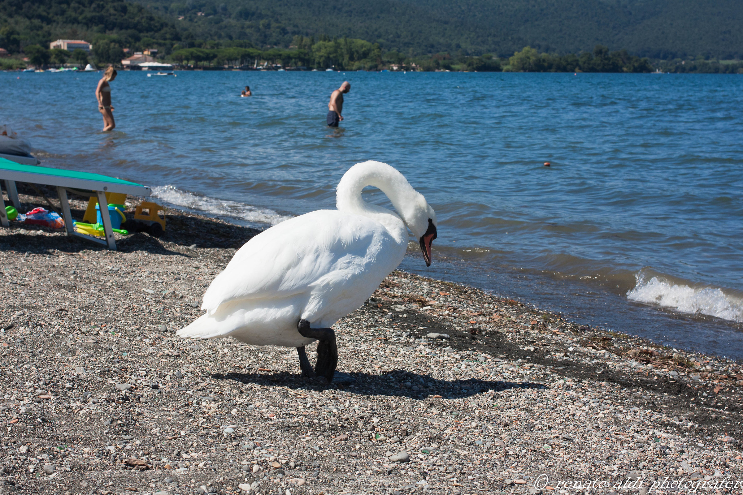 Approfitto ora che c'è l'acqua, poi chi sa!!!...