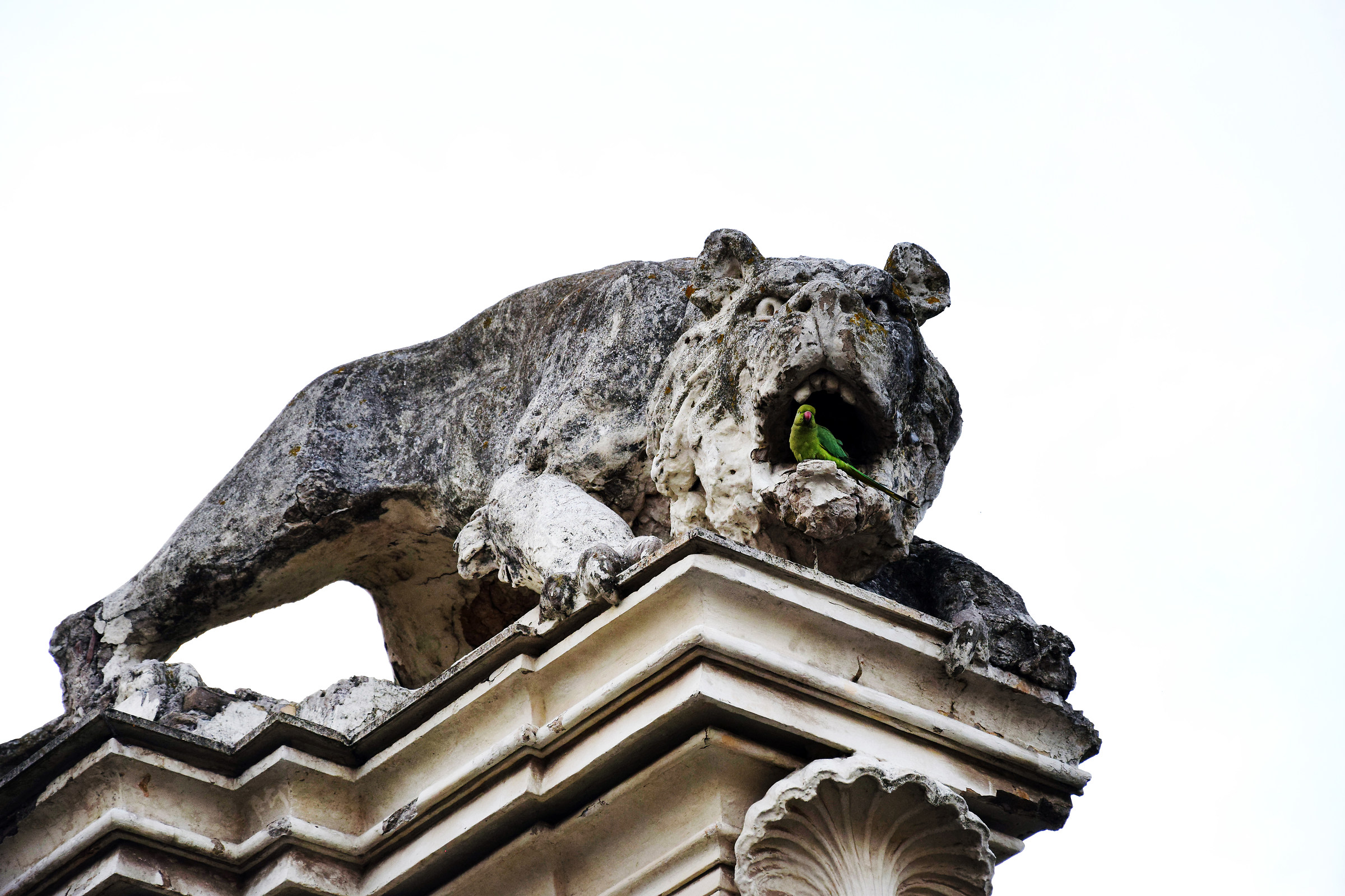 Unlikely friendships