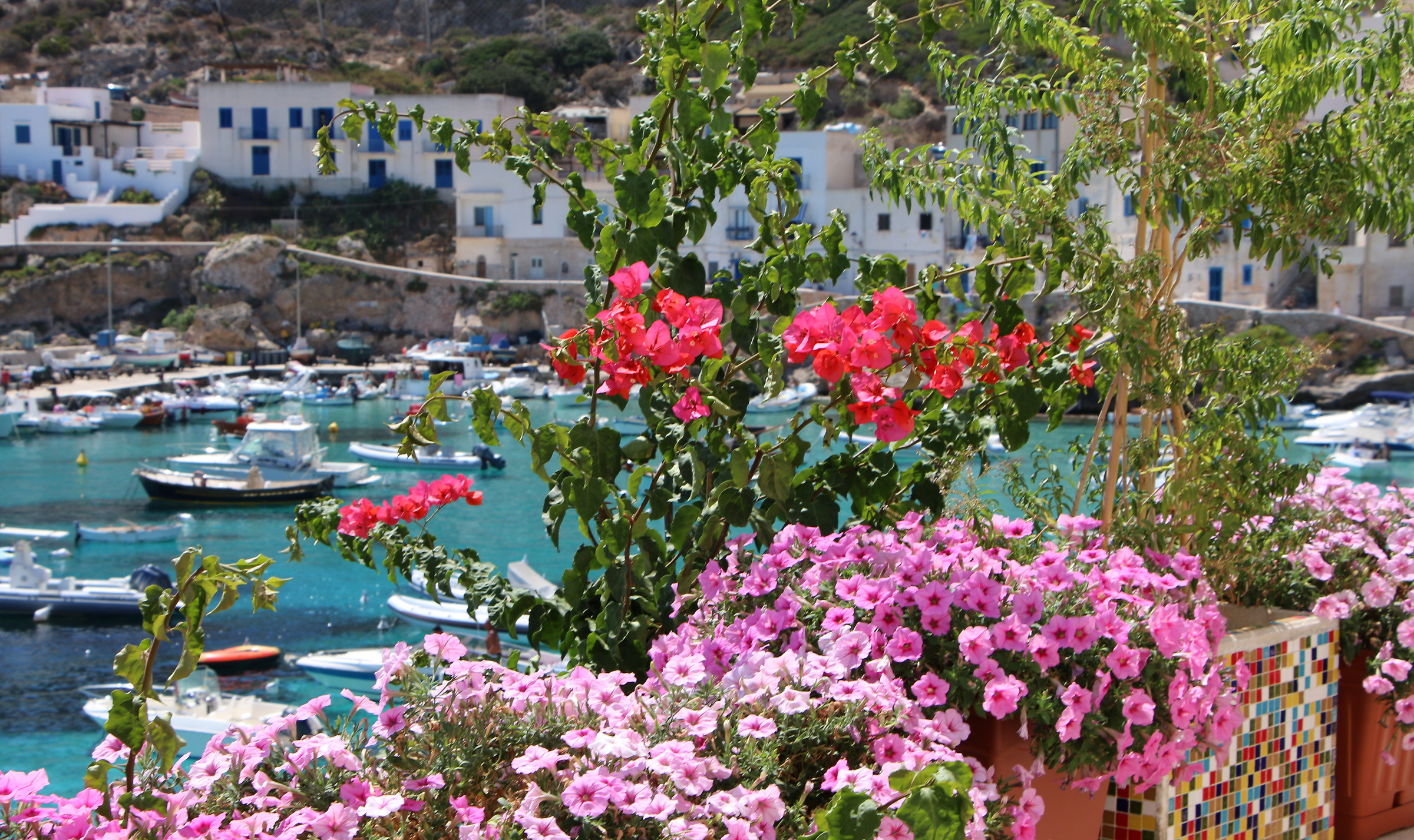 Levanzo Island Sicily 2016