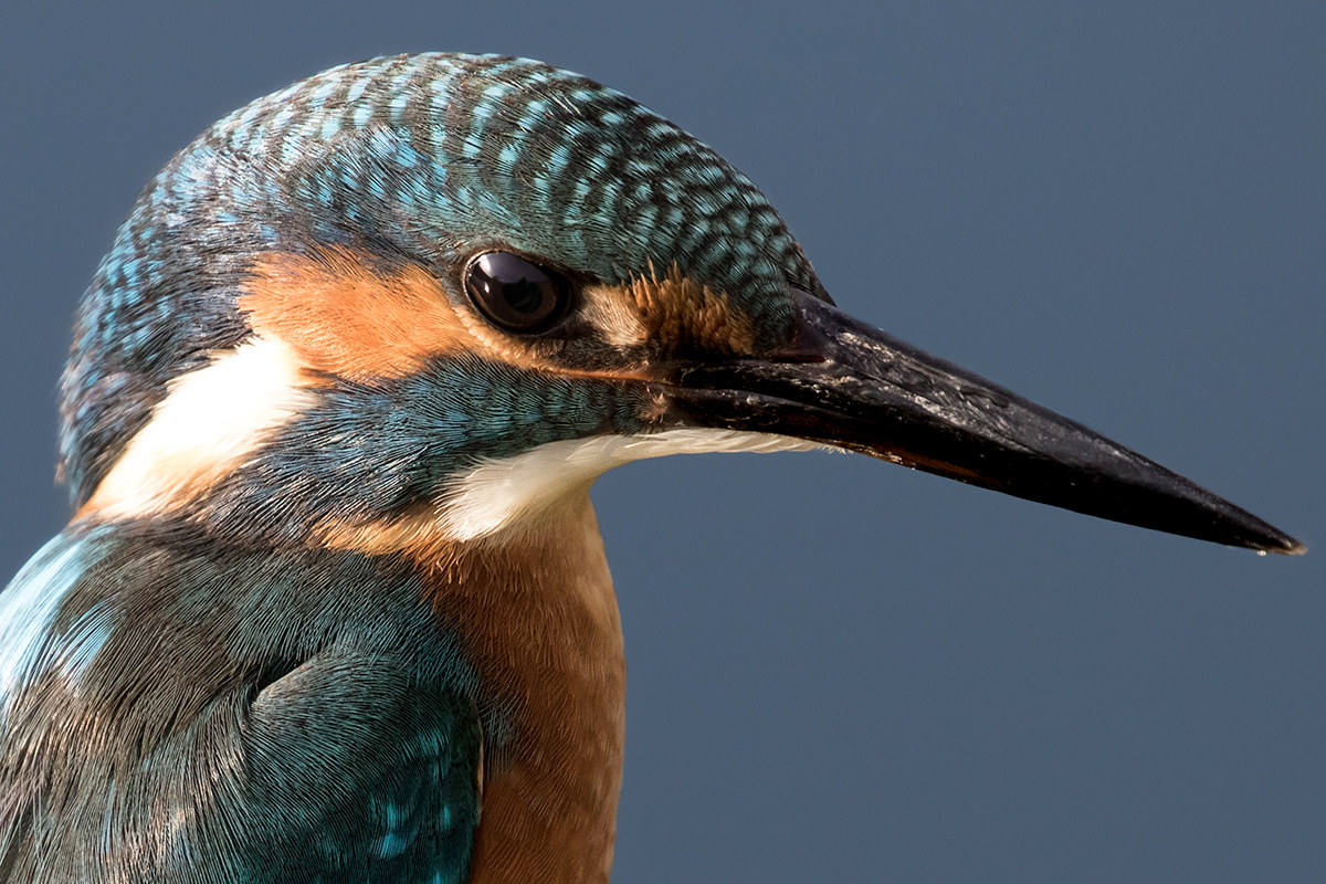 portrait with reflection
