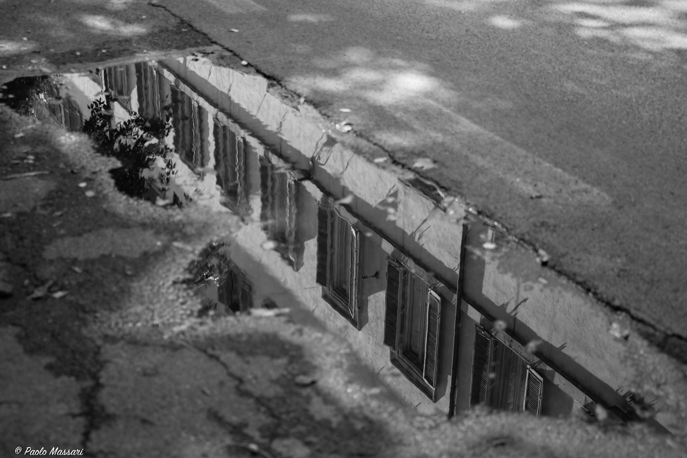 Le finestre del presidente