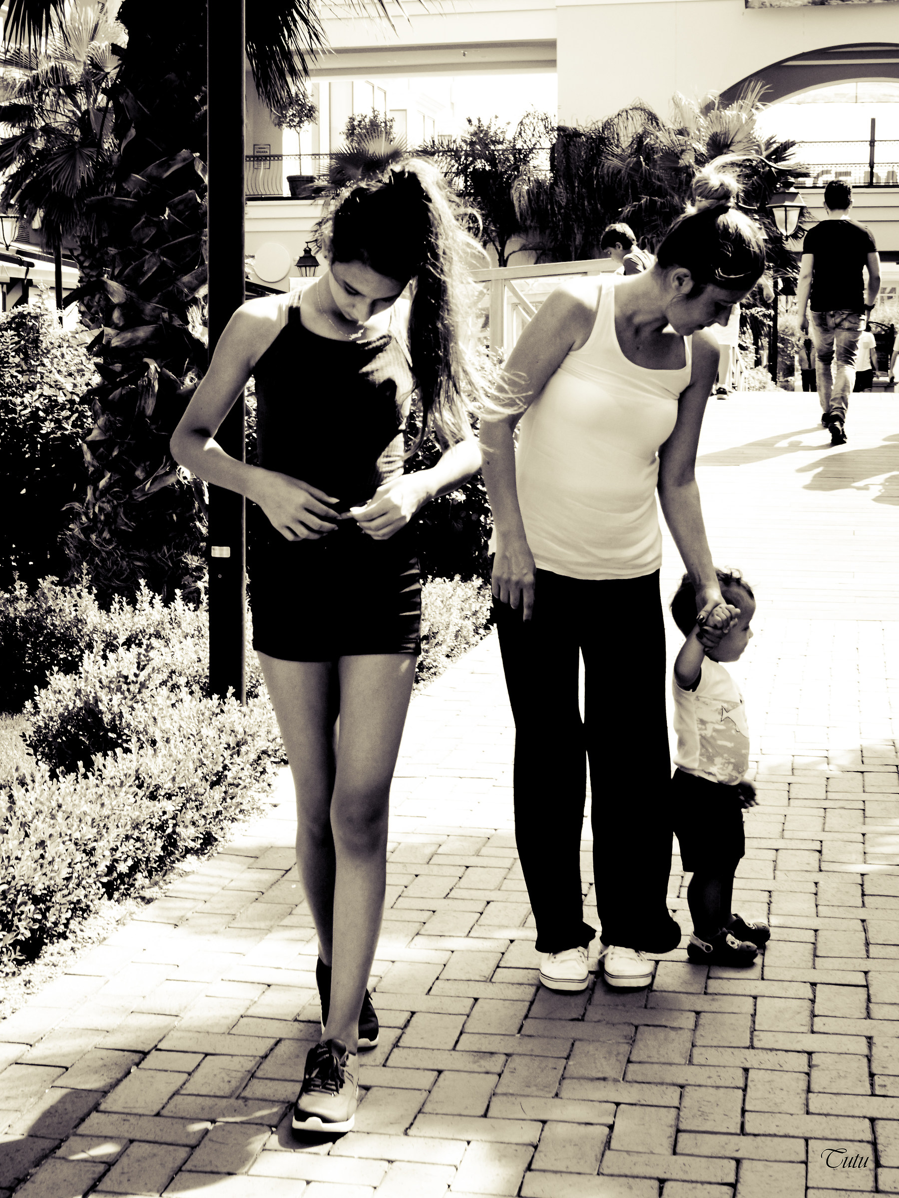 Three states of matter in one square meter