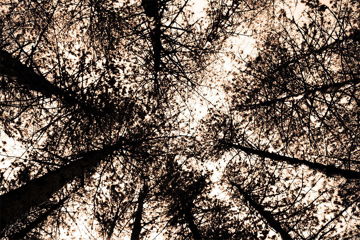 The pillars of heaven