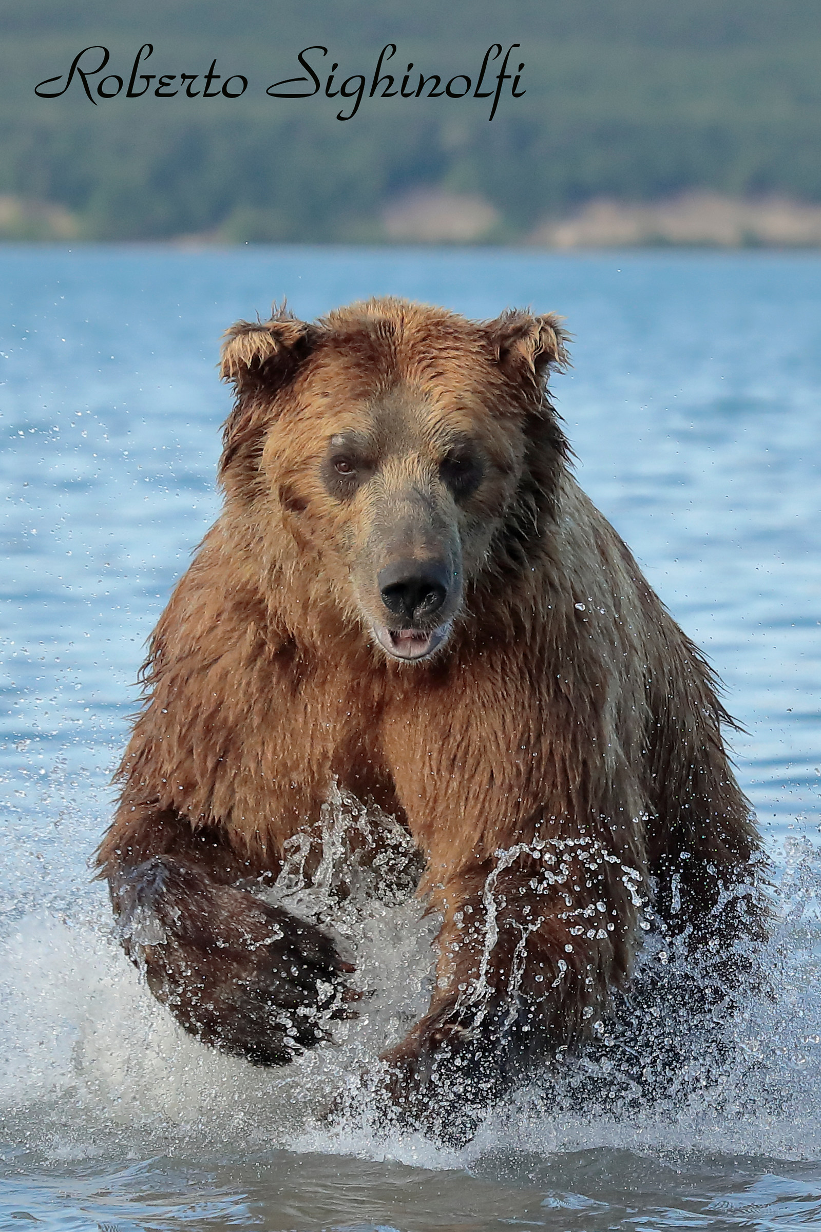 Hunting, rather than fishing.