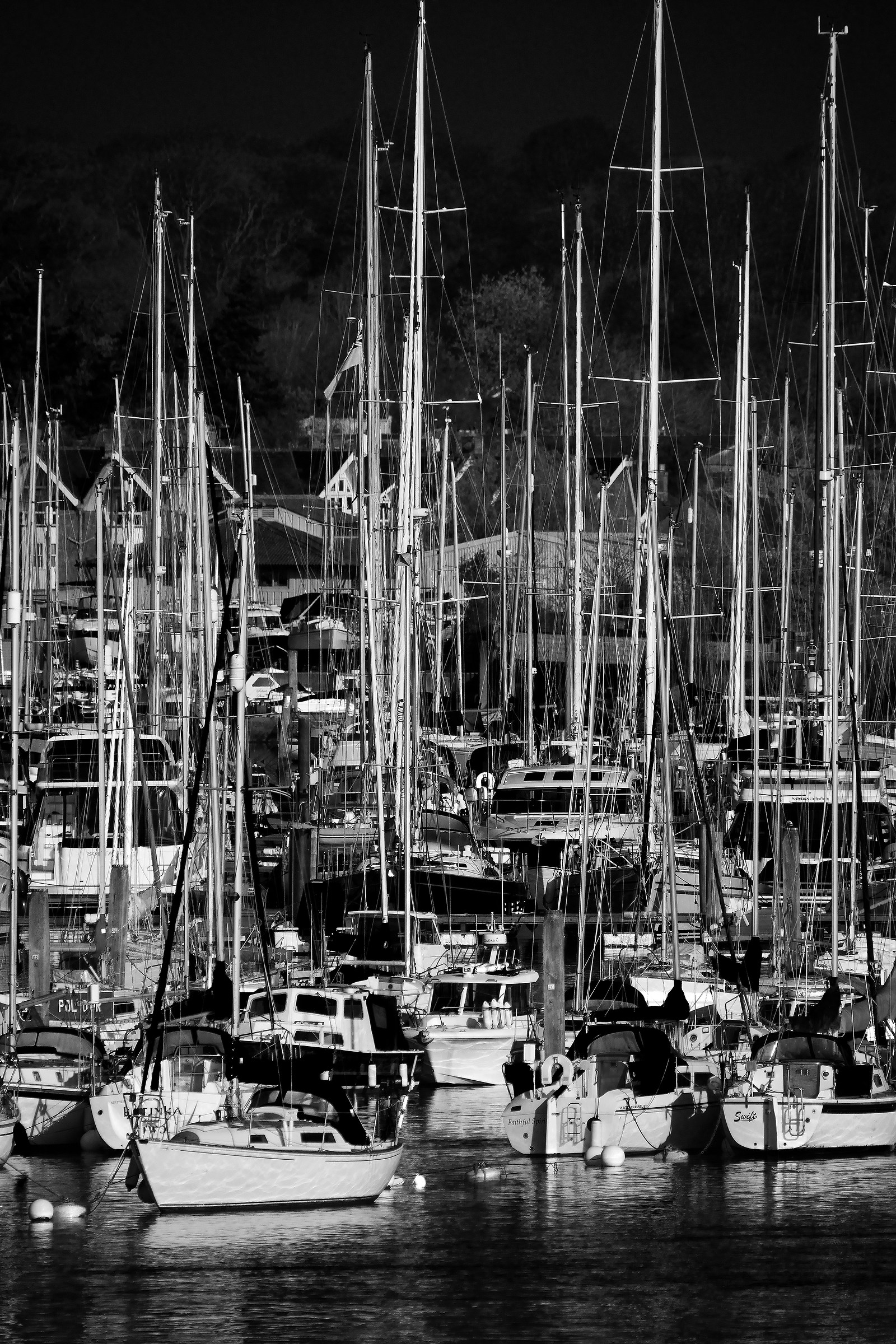 "Masts" (Leaving Lymington on the Ferry)