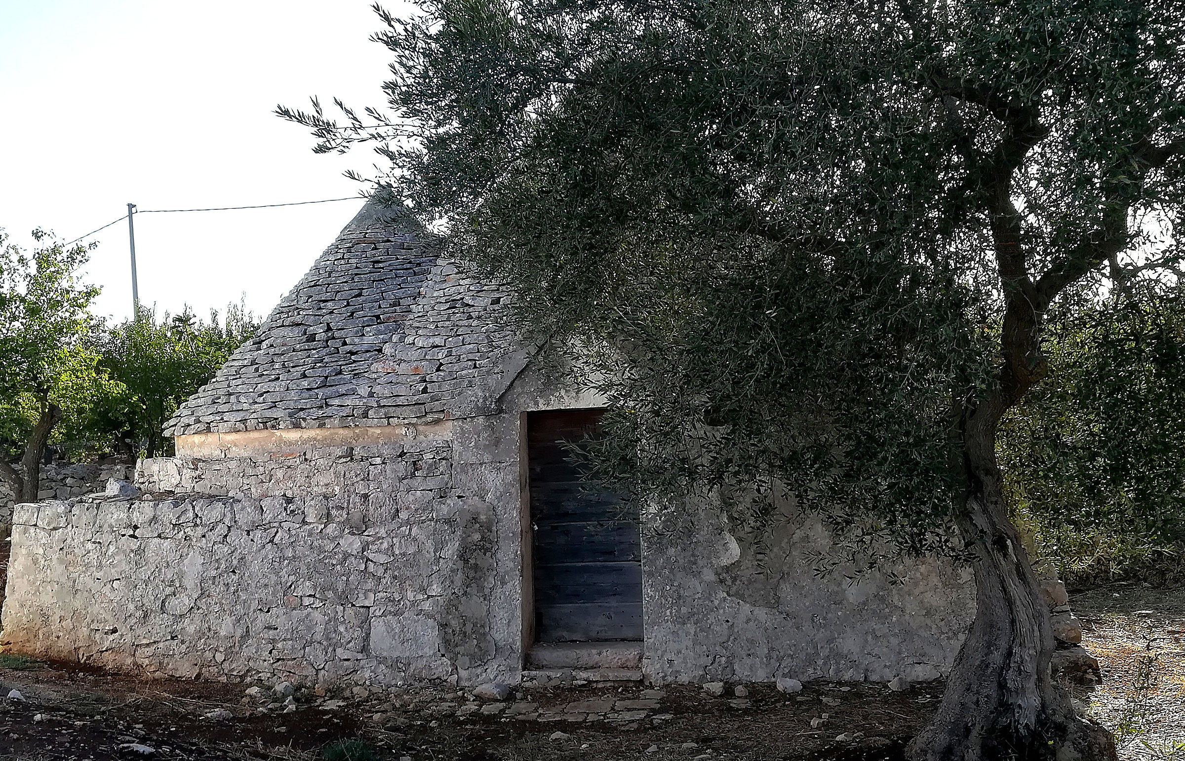 Trullo