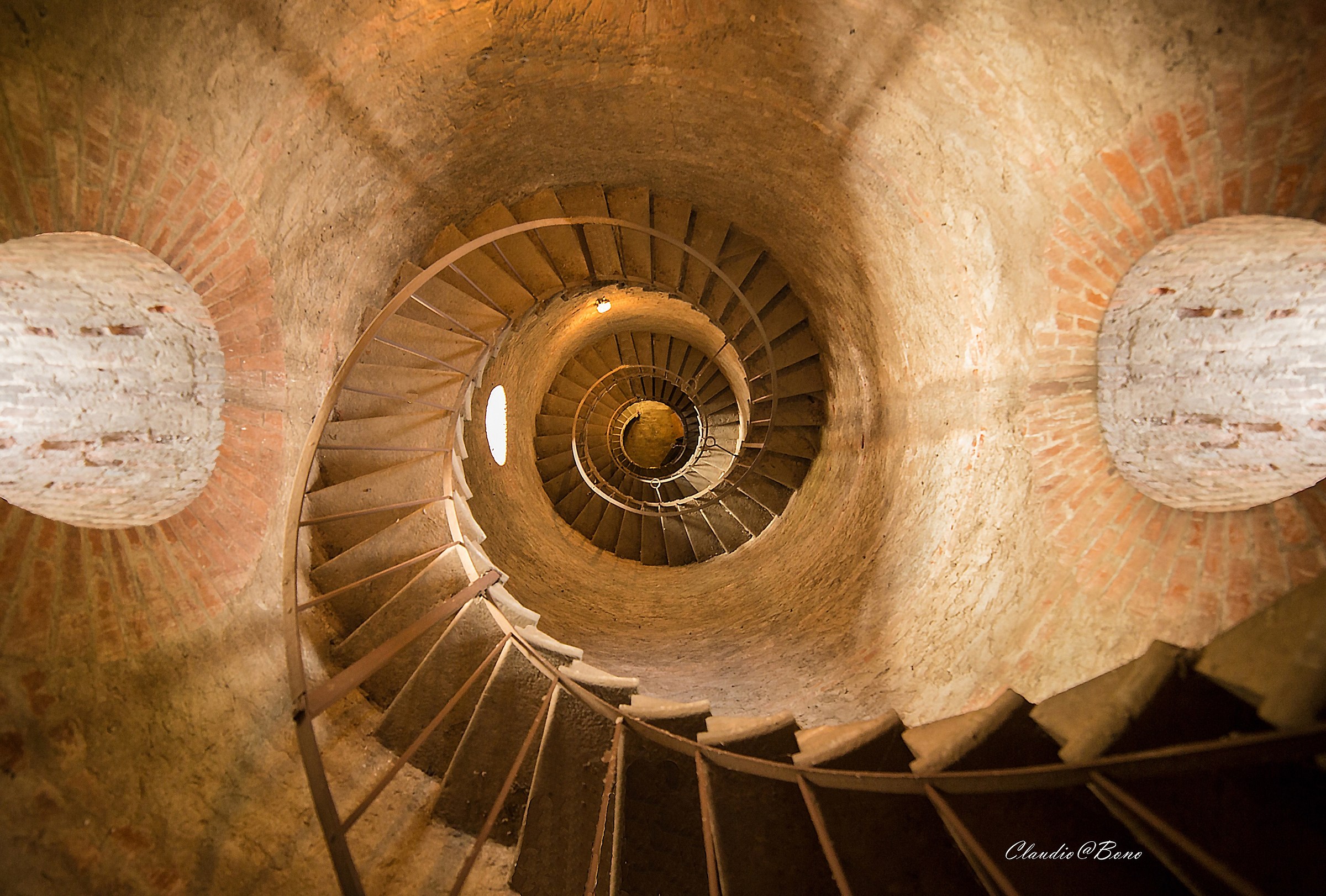 the snake of the Villafalletto Tower