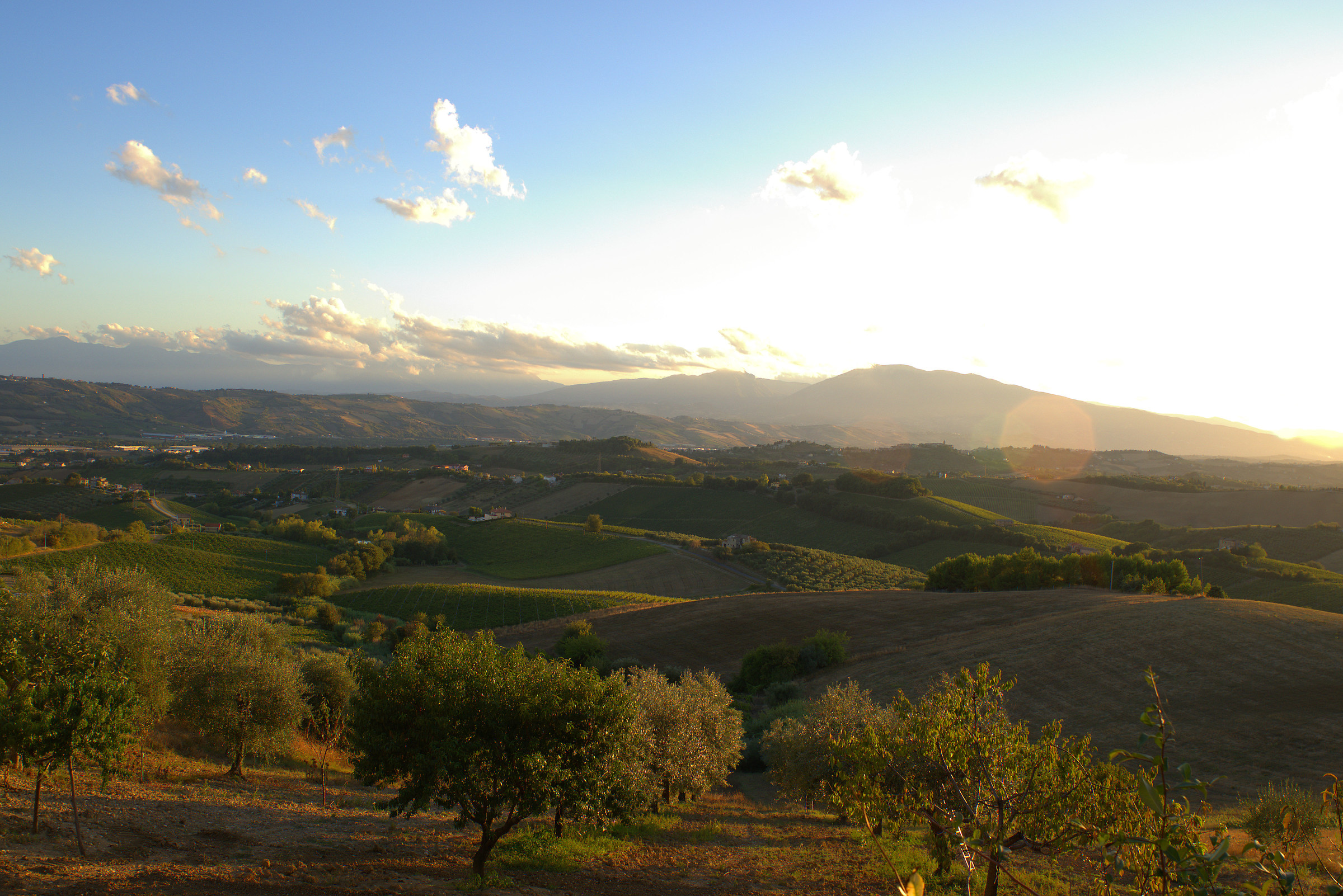 Colline delle Marche