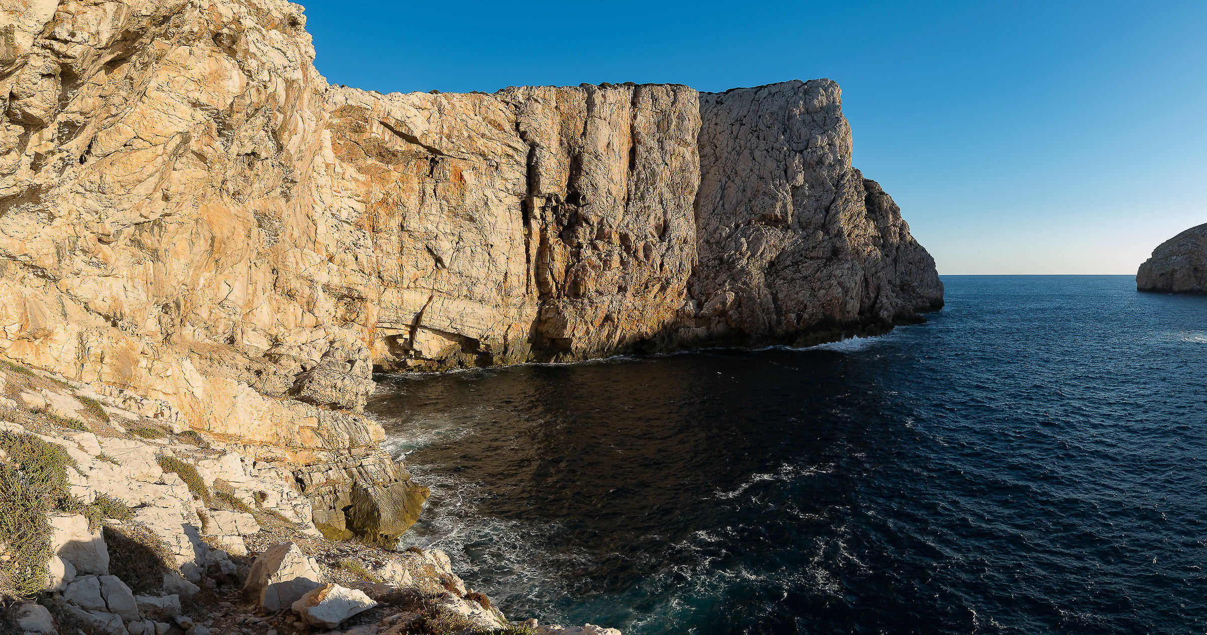 In the middle of the cliff