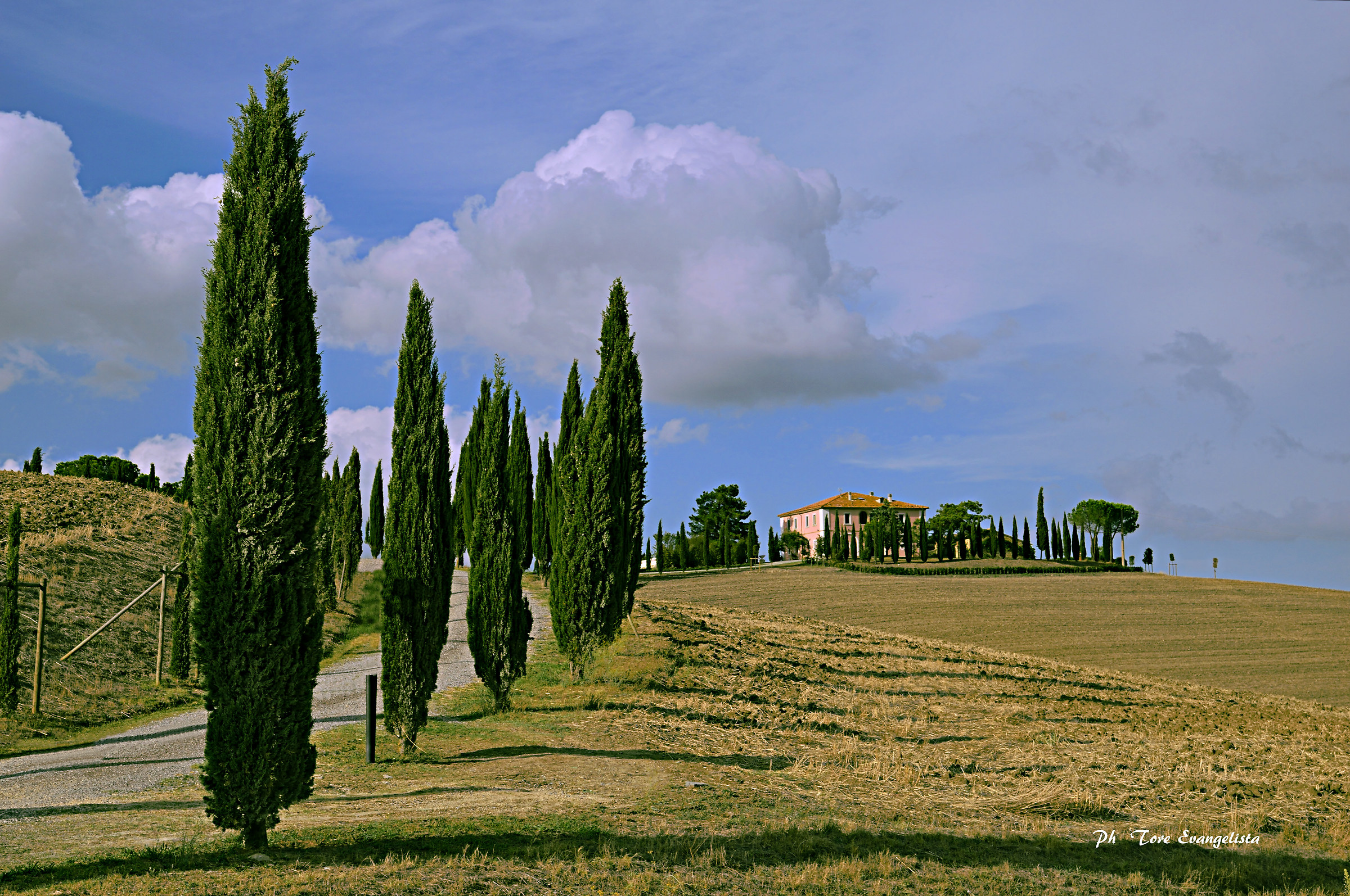 Cypresses in the foreground.