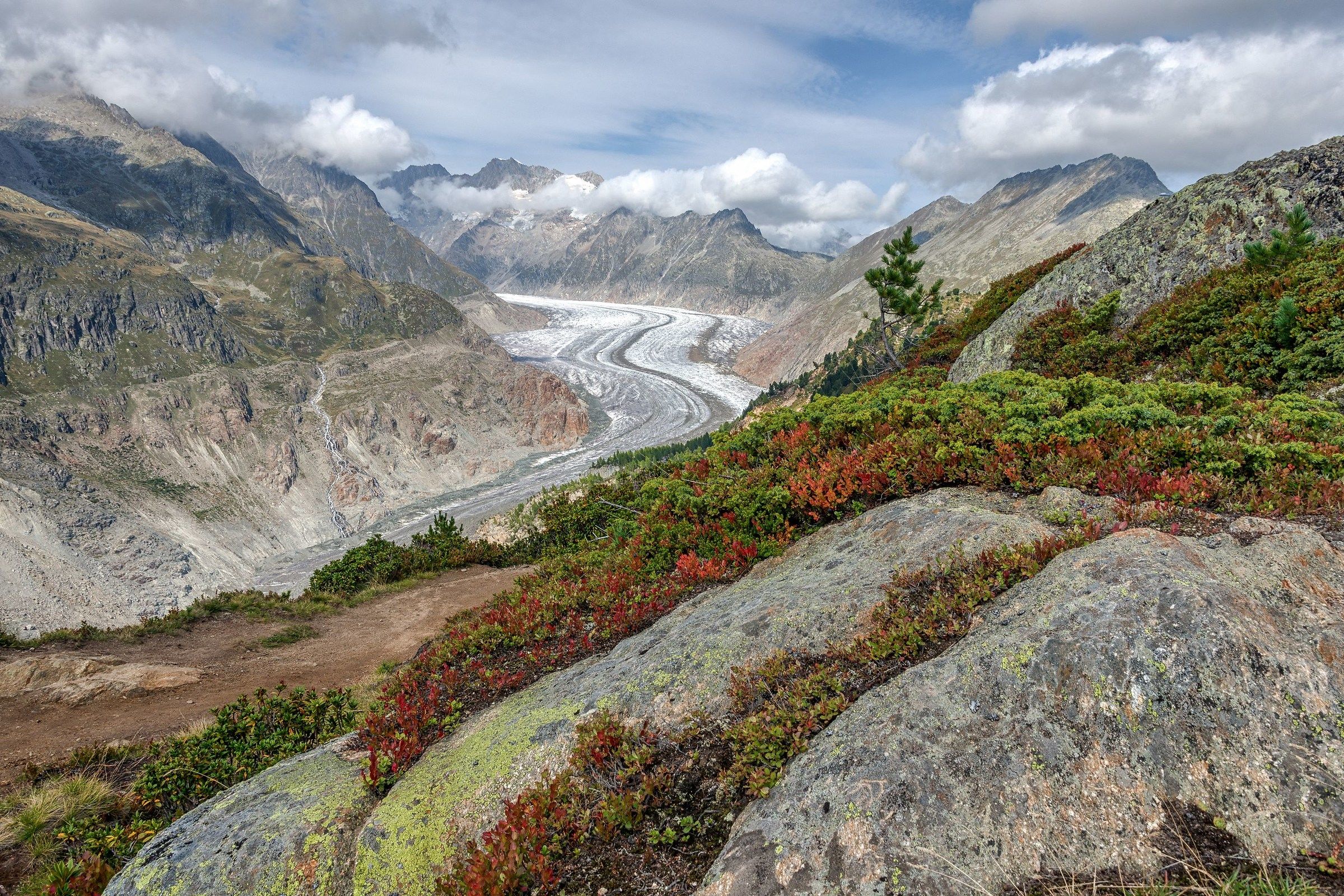 Aletsch Arena - Switzerland