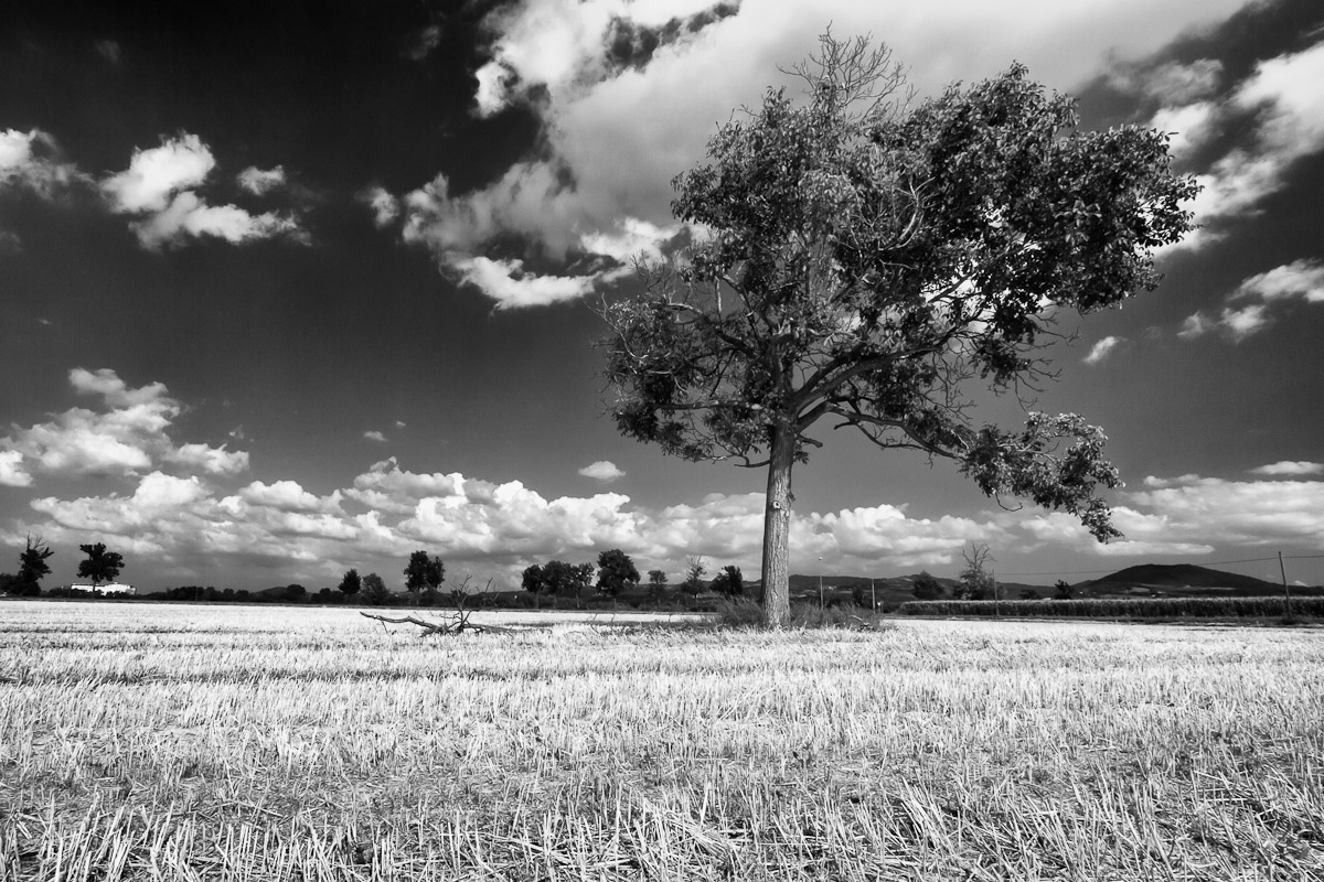 Summer Oltrepò Pavese