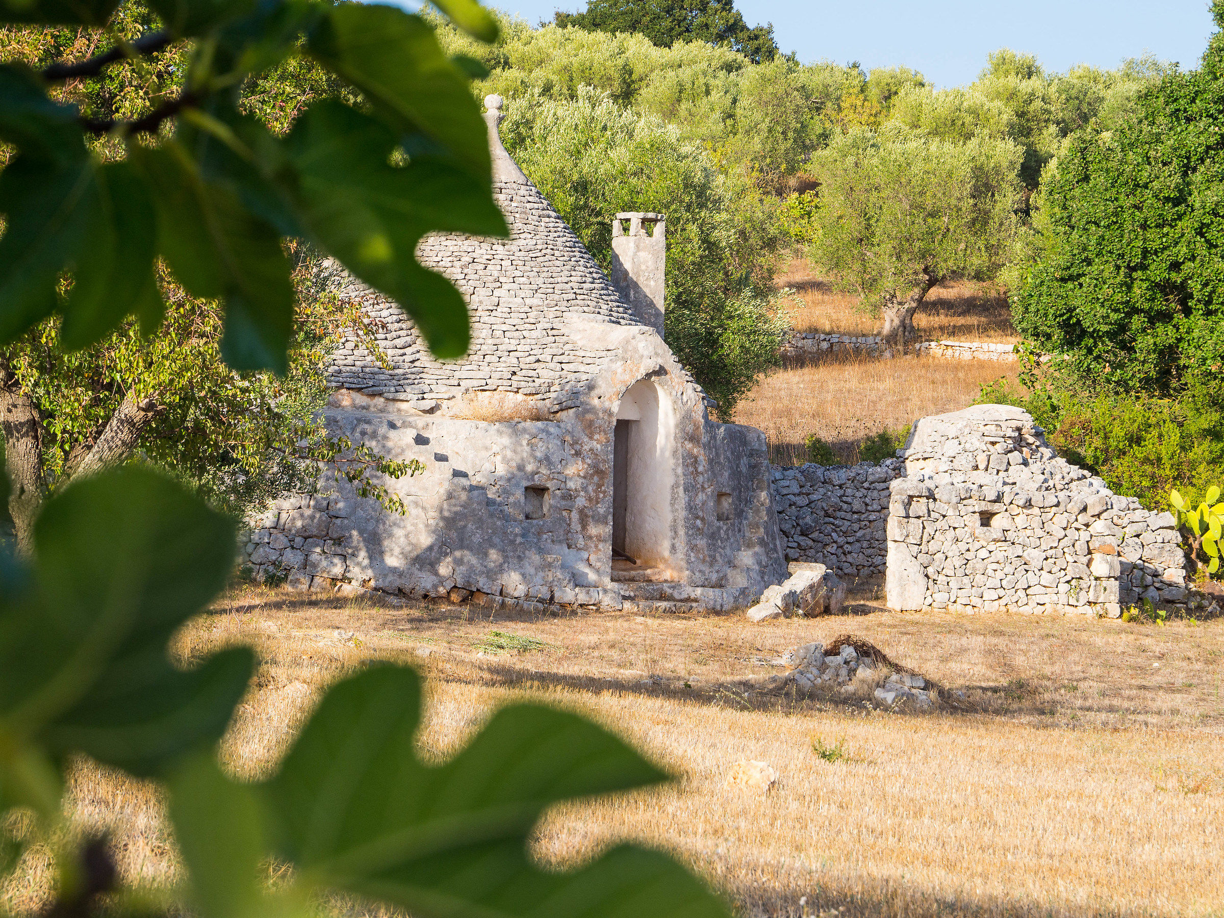 scorci pugliesi - trulli
