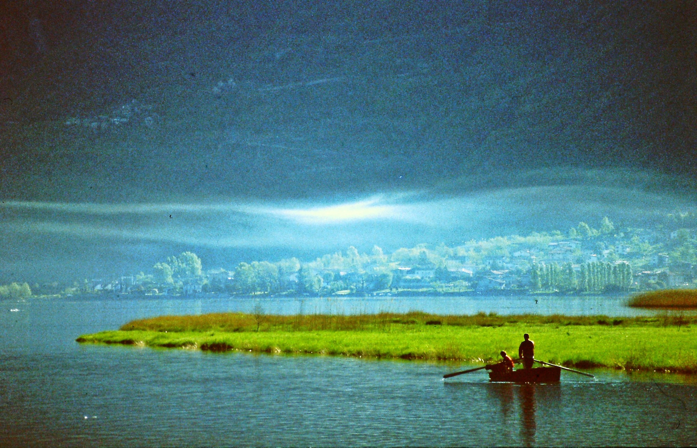 315 - sognavo ... mi destai ... e continuai a sognare