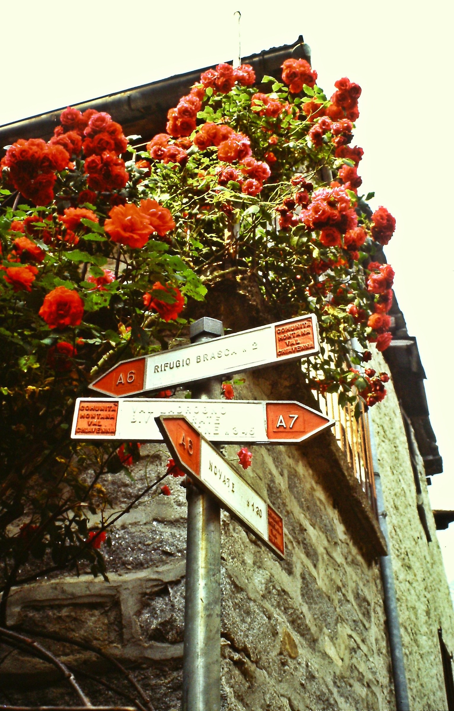 339 - lngentilire delle vie della fatica - SO Codera