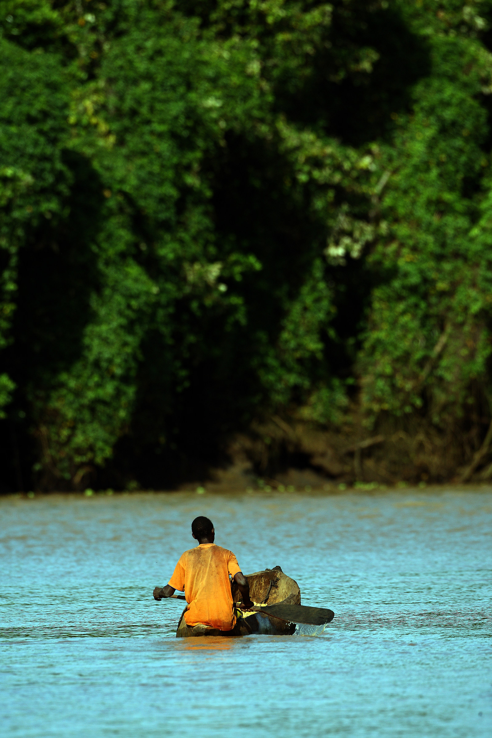Piroga in a single trunk