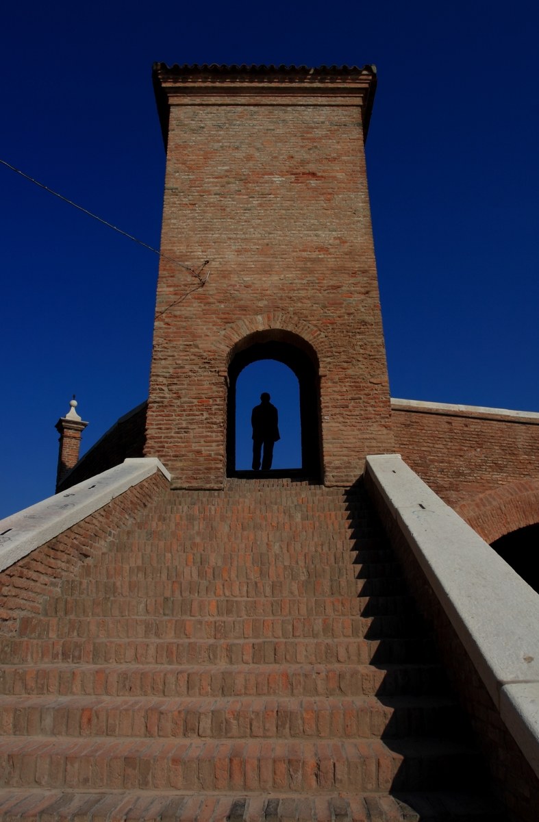 the tower and the King