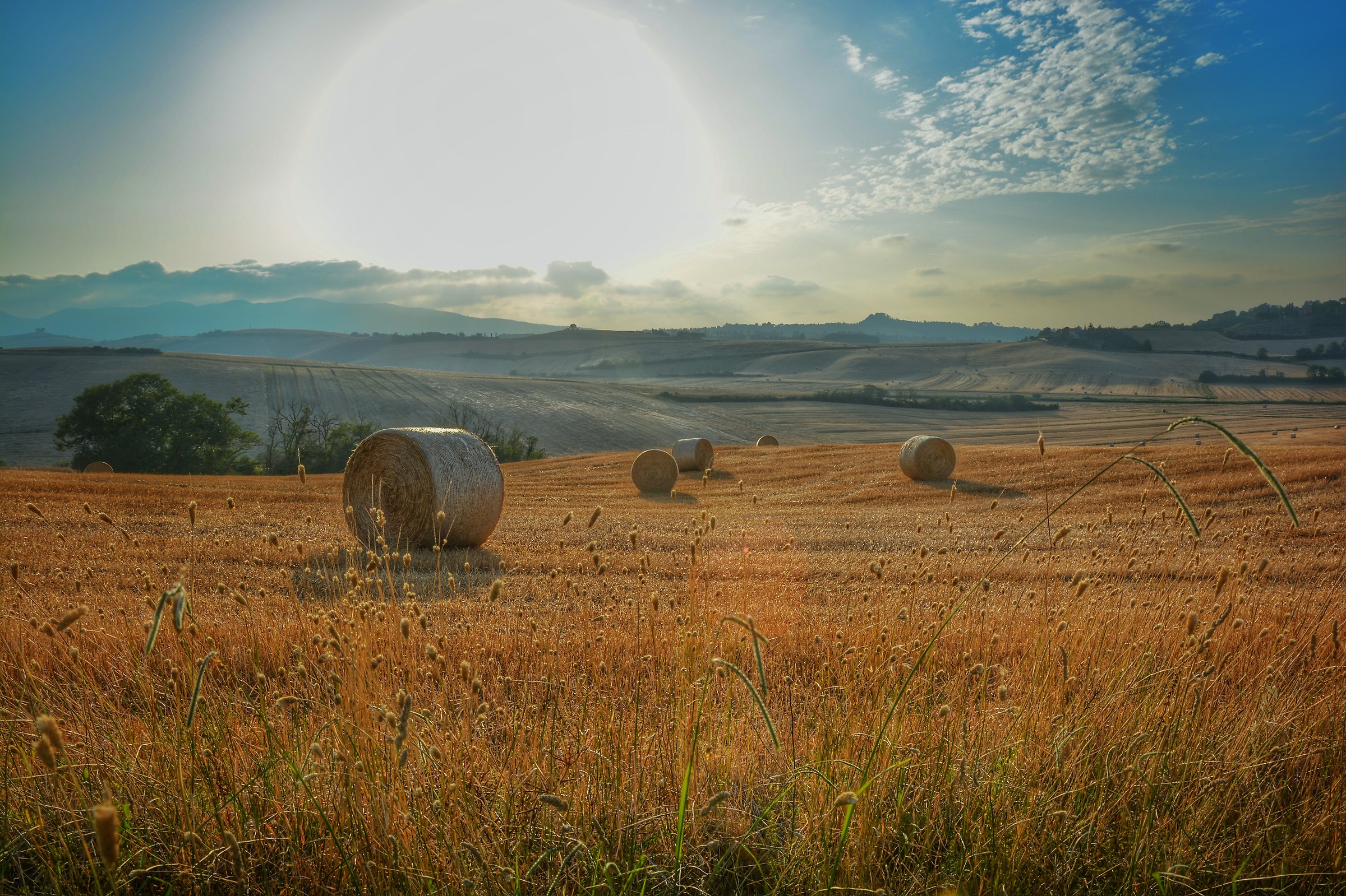 Scenari da orciano pisano