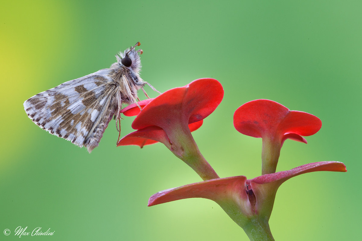 I'm on the third floor