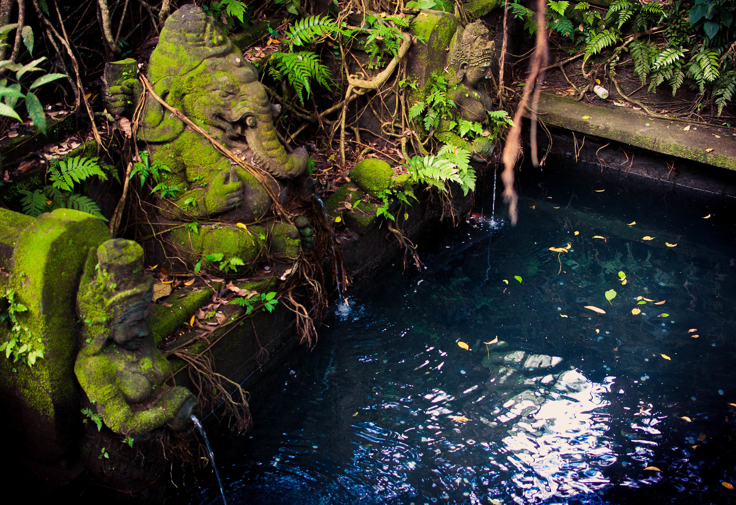 Monkey Forest - Ubud