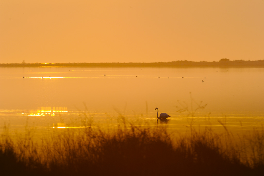 Sunset on the lagoon