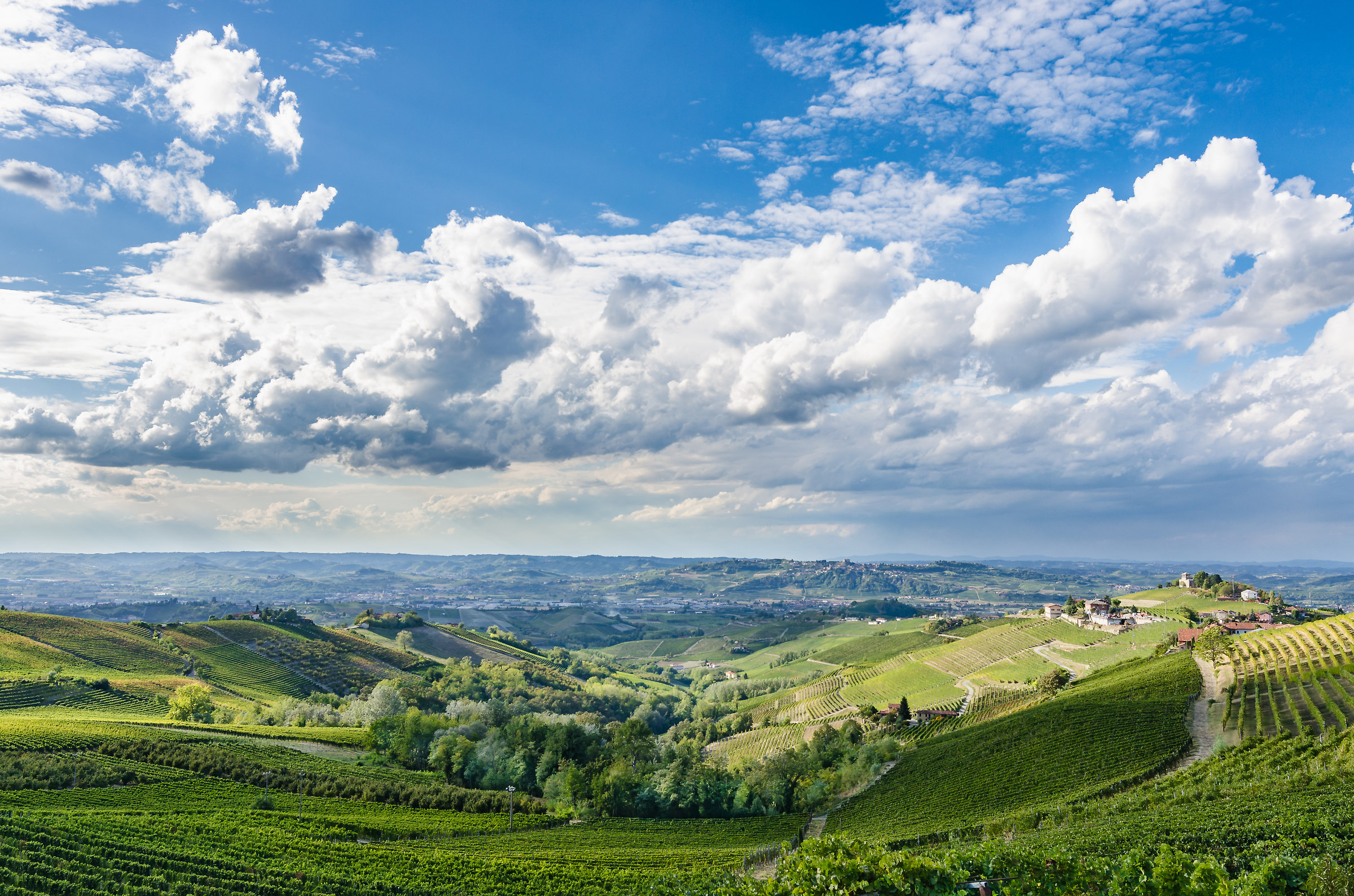 We live in a beautiful world