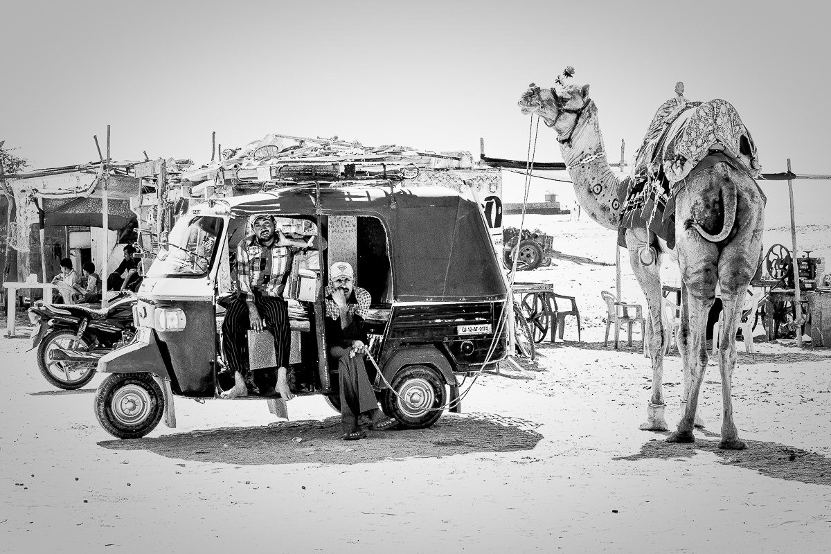 Camel versus ape Piaggio!