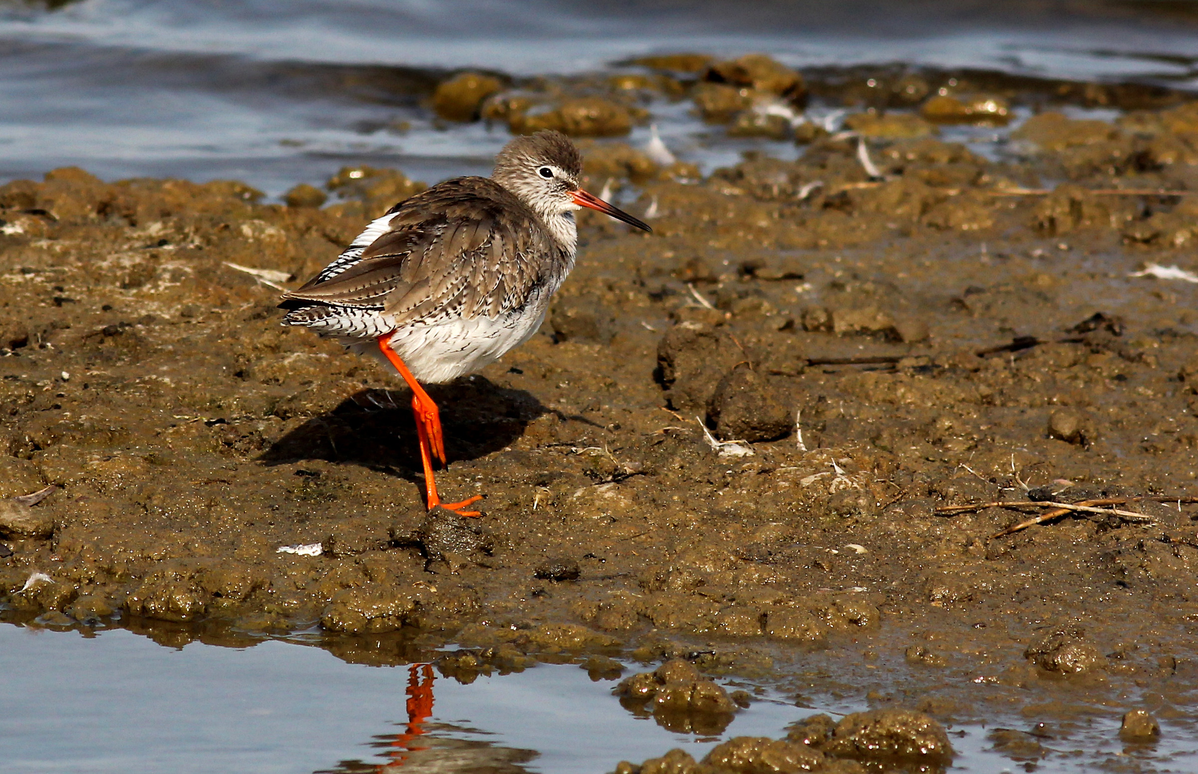 Can not I take a nap ?!