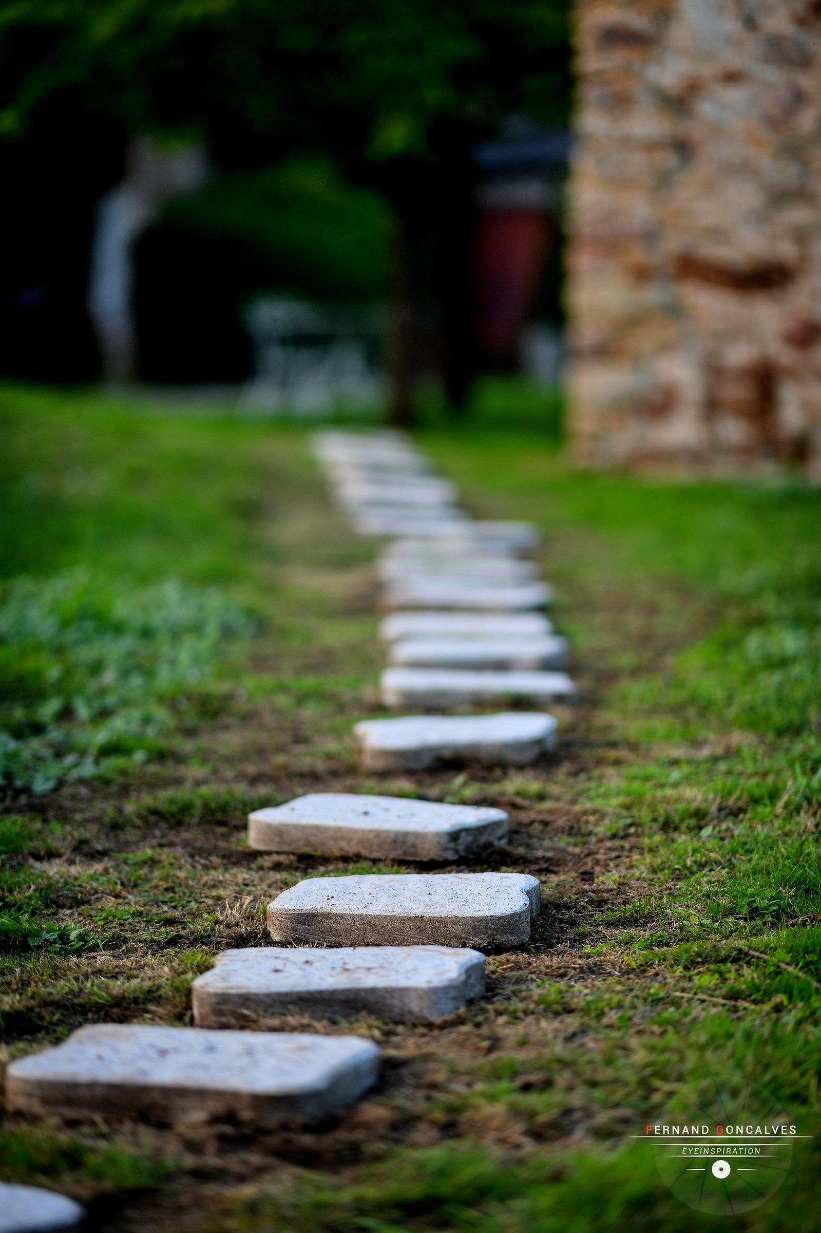 test nikon d850 - manoir bretagne