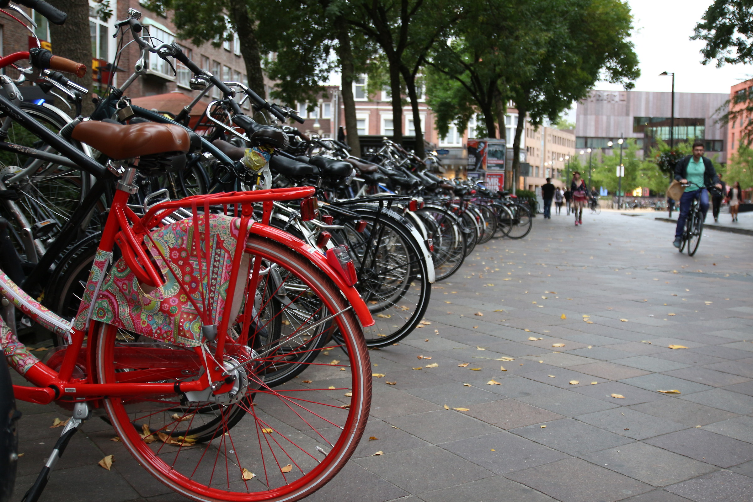 bici bici bici...solo bici