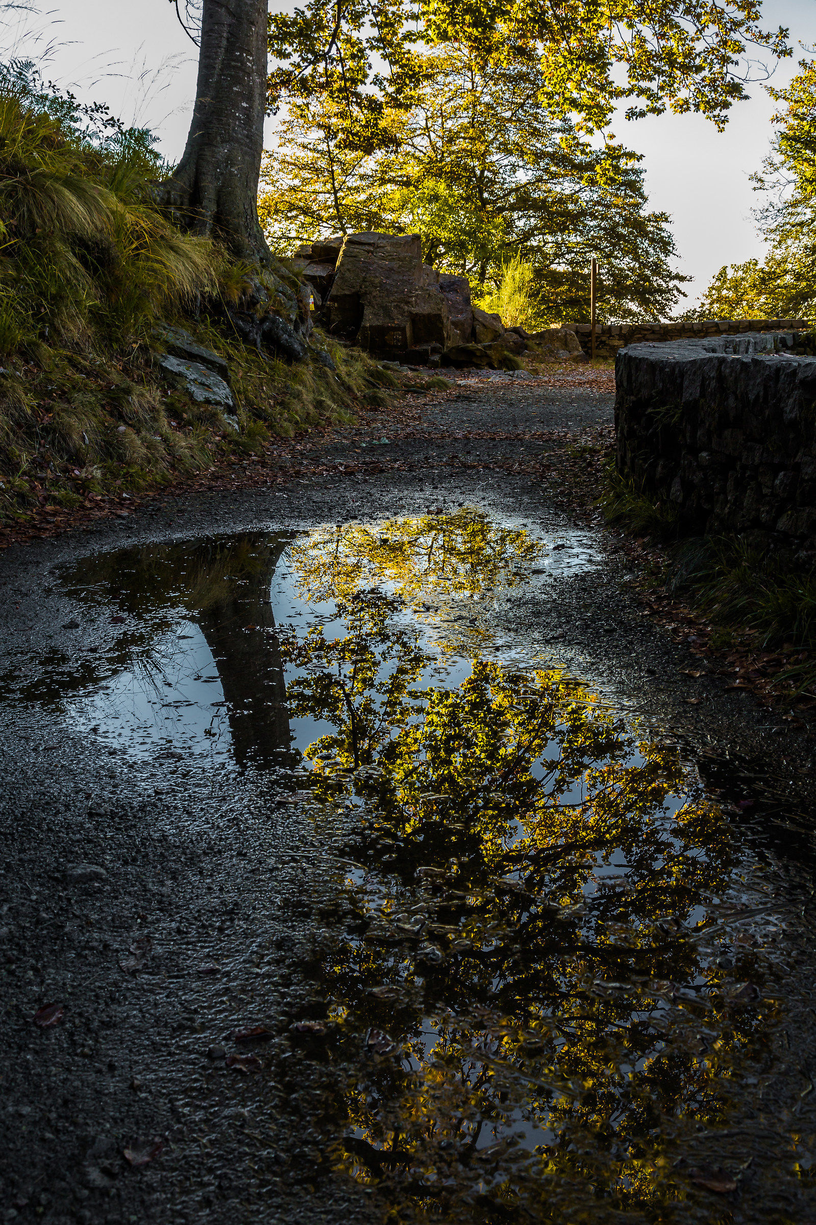 Riflessi sull'acqua, Passeggiata dei preti (Oropa)